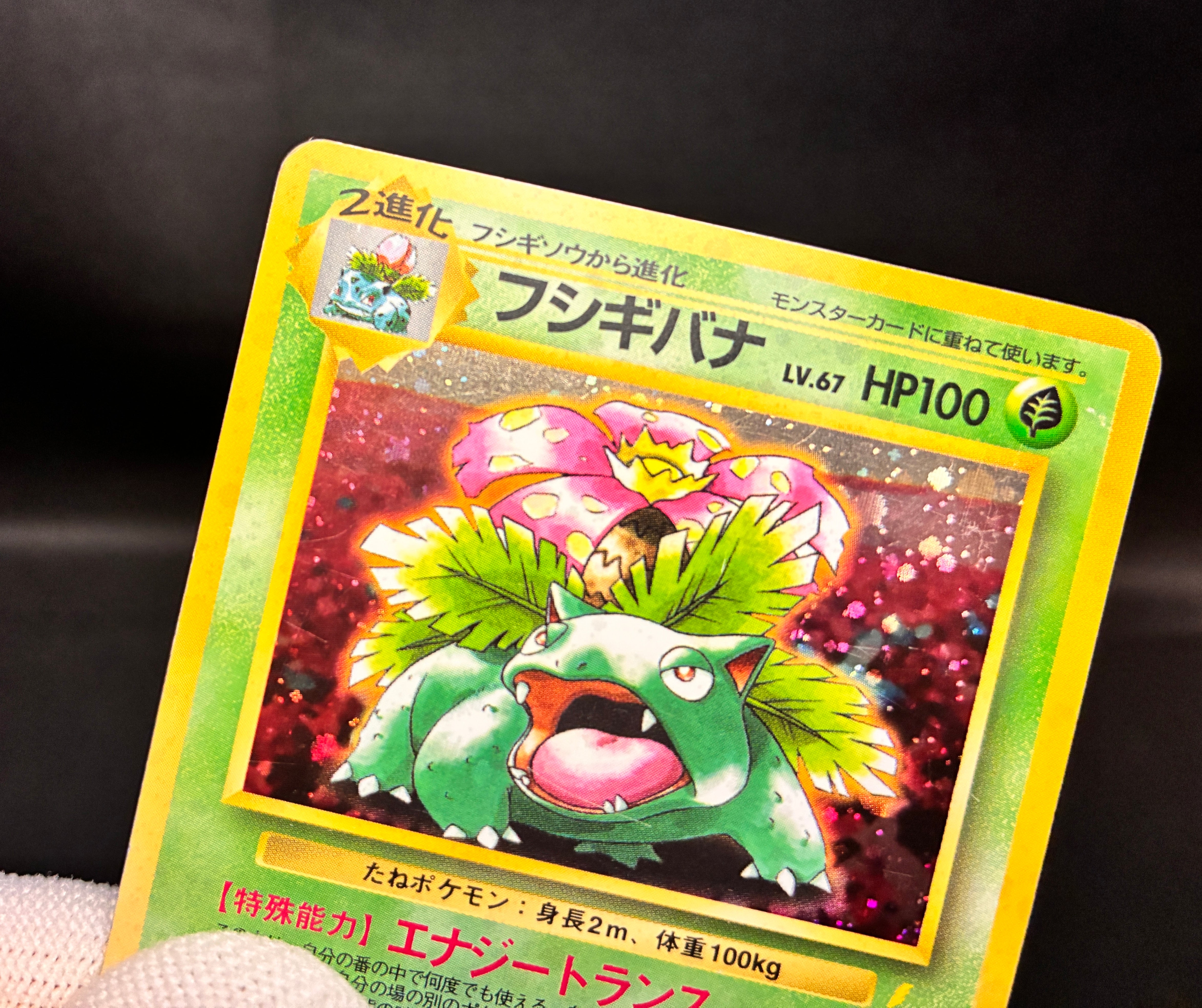 【MP】Venusaur No. 003 | Trade Please CD Promo | Pokemon Card Japanese
