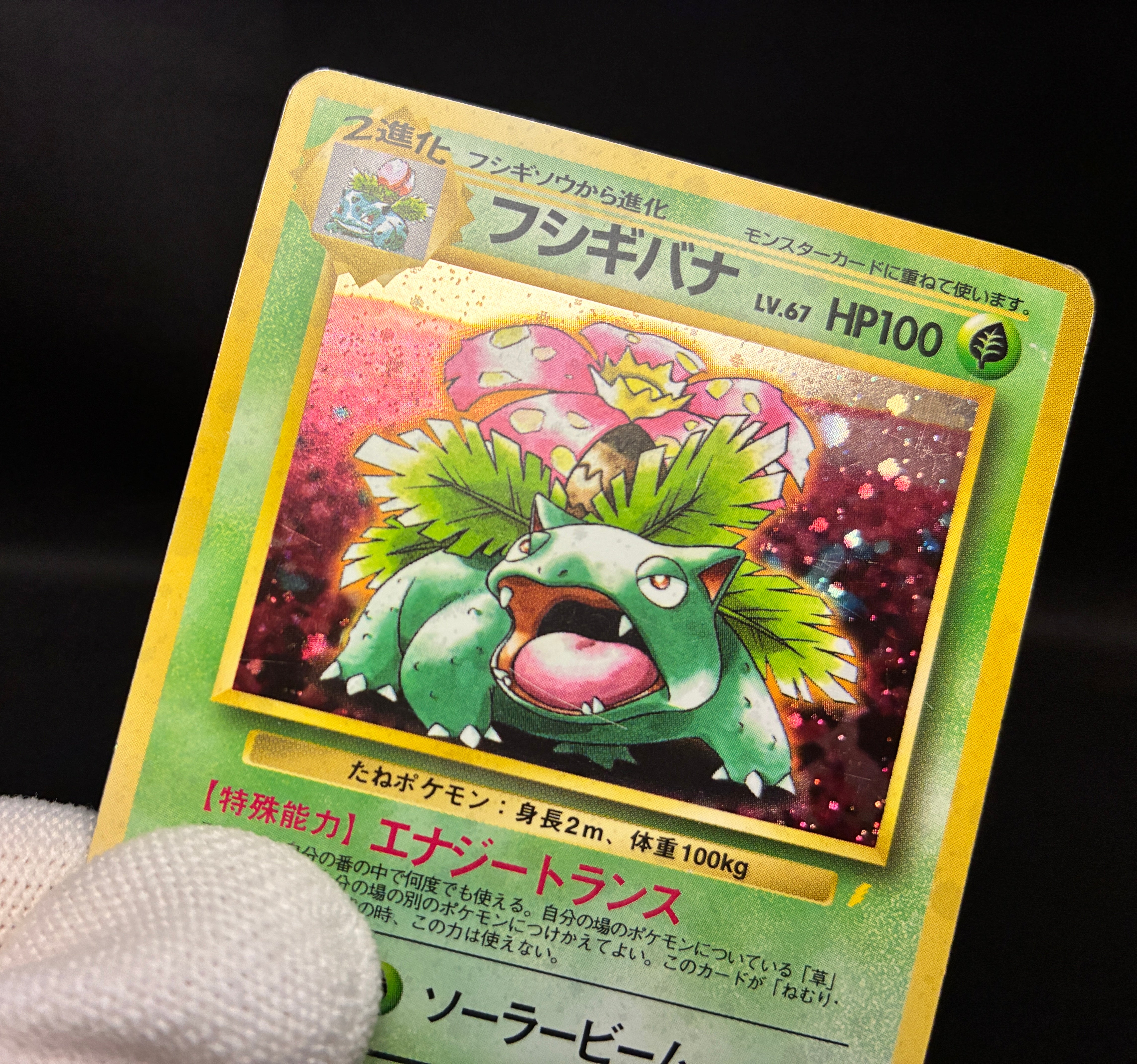 【MP】Venusaur No. 003 | Trade Please CD Promo | Pokemon Card Japanese