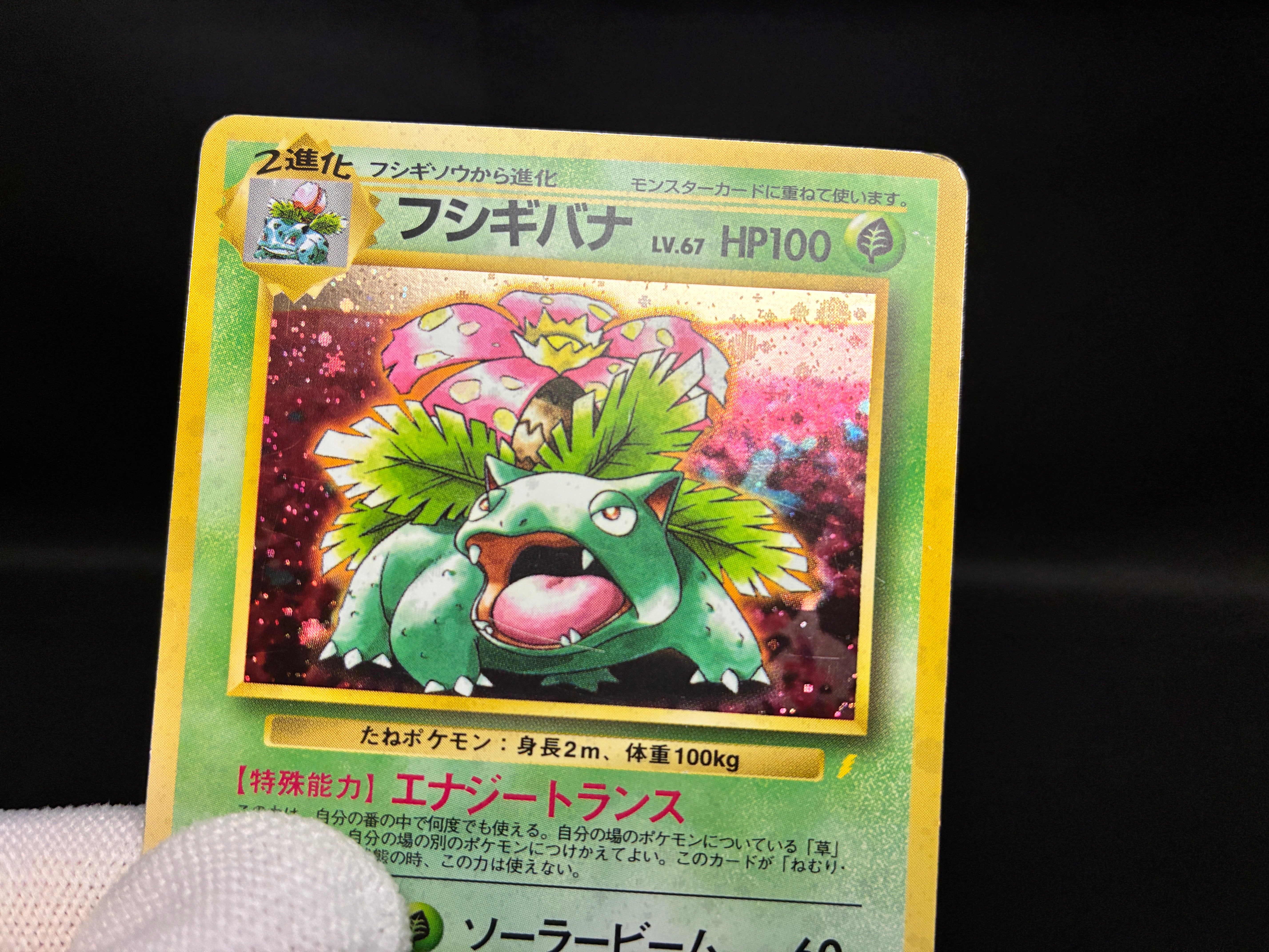 【MP】Venusaur No. 003 | Trade Please CD Promo | Pokemon Card Japanese