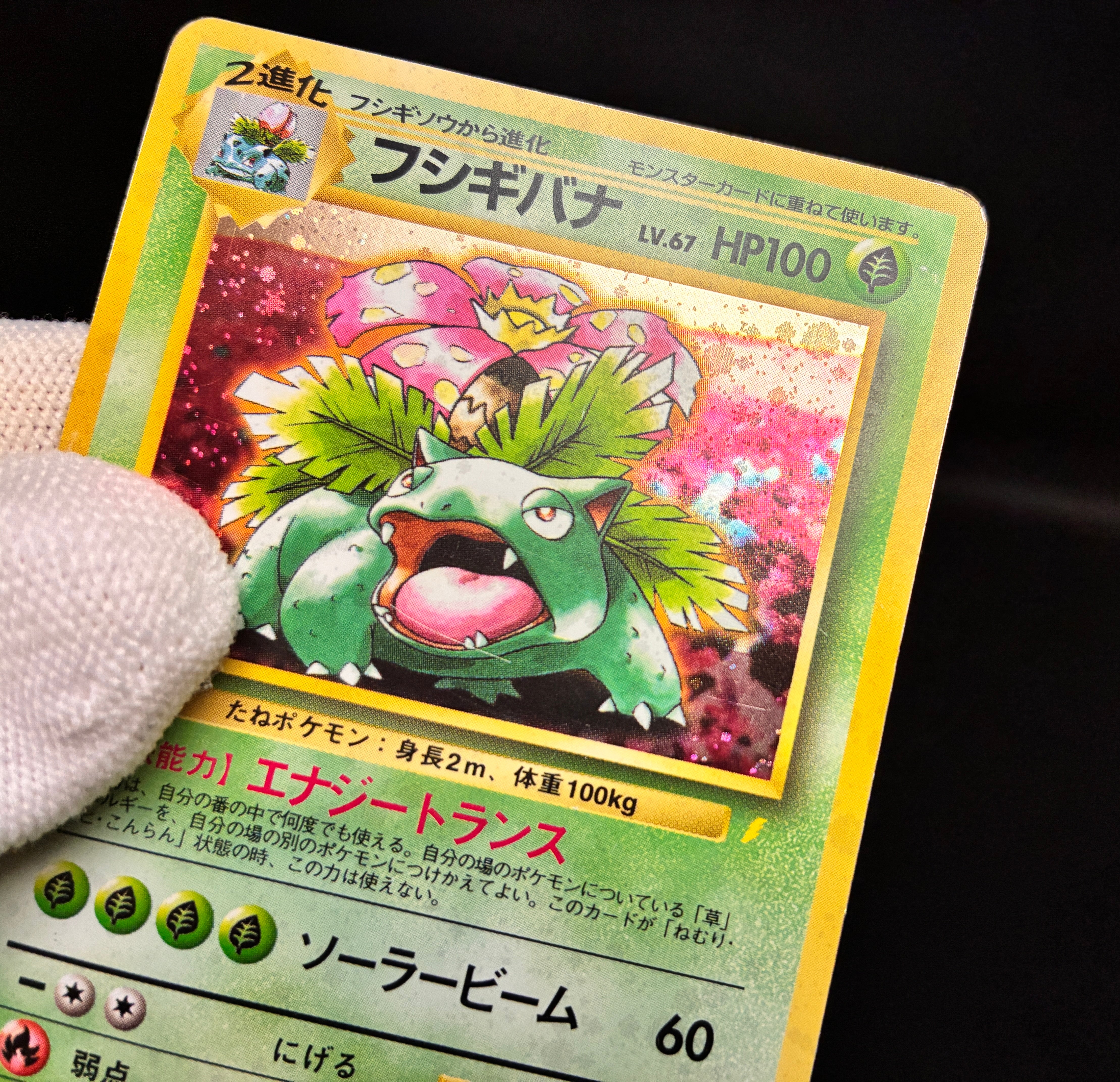 【MP】Venusaur No. 003 | Trade Please CD Promo | Pokemon Card Japanese