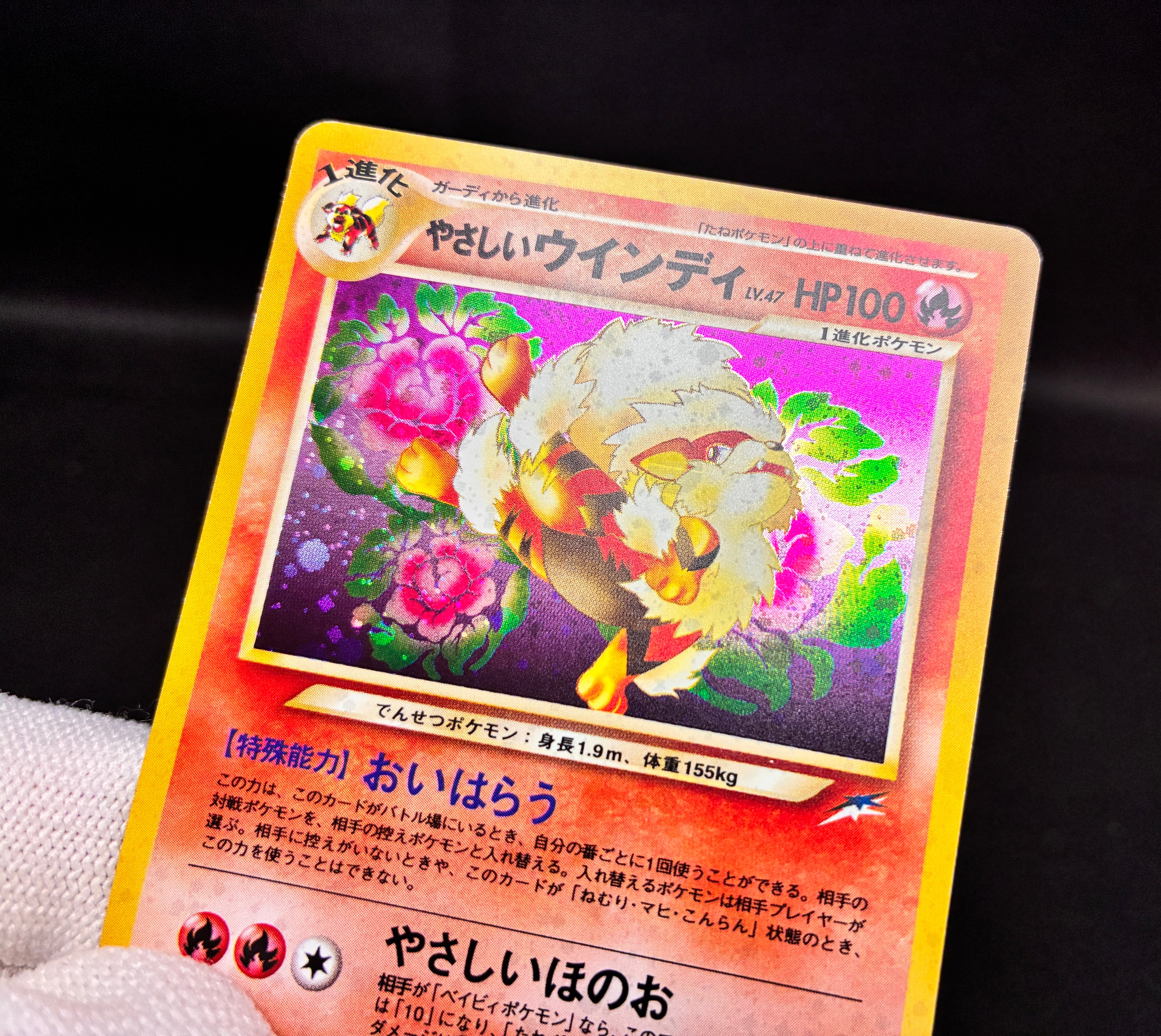 【LP】Light Arcanine No. 059 & Dragonite No. 149 | Neo Destiny Holo | Pokemon Card Japanese