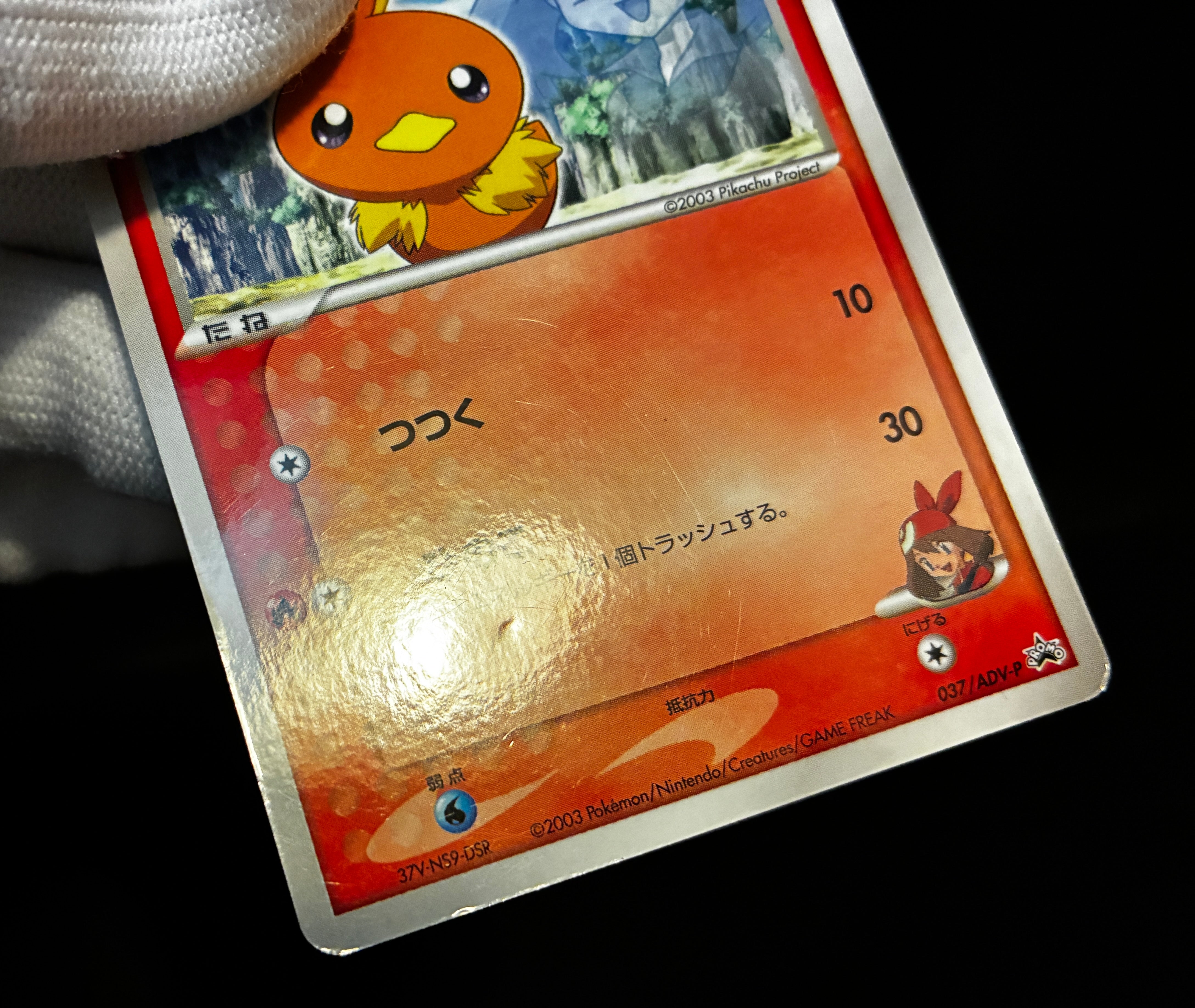 【MP】May's Torchic 037/ADV-P | Shogakukan Promo | Pokemon Card Japanese