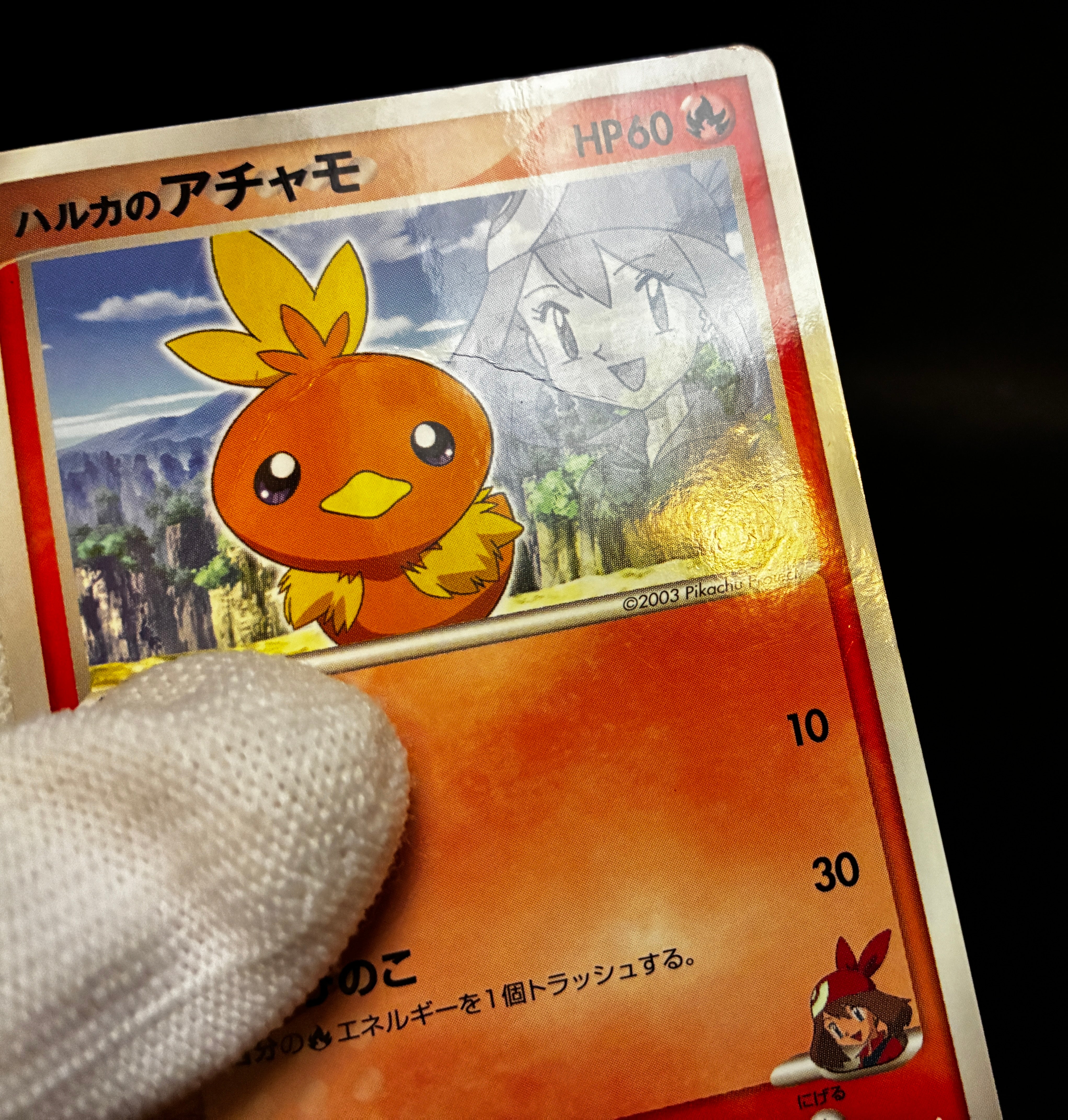 【HP】May's Torchic 037/ADV-P | Shogakukan Promo | Pokemon Card Japanese