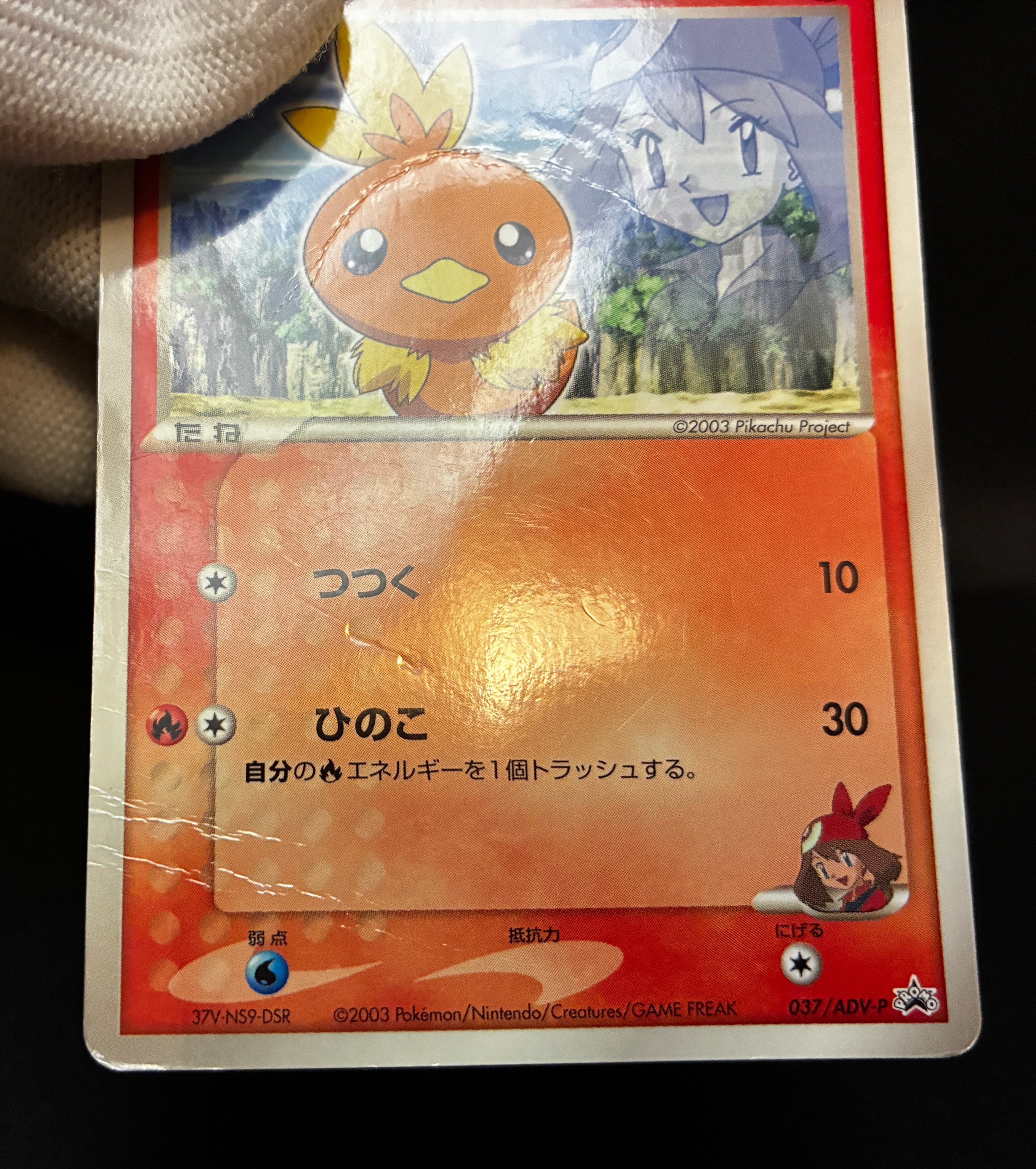 【HP】May's Torchic 037/ADV-P | Shogakukan Promo | Pokemon Card Japanese