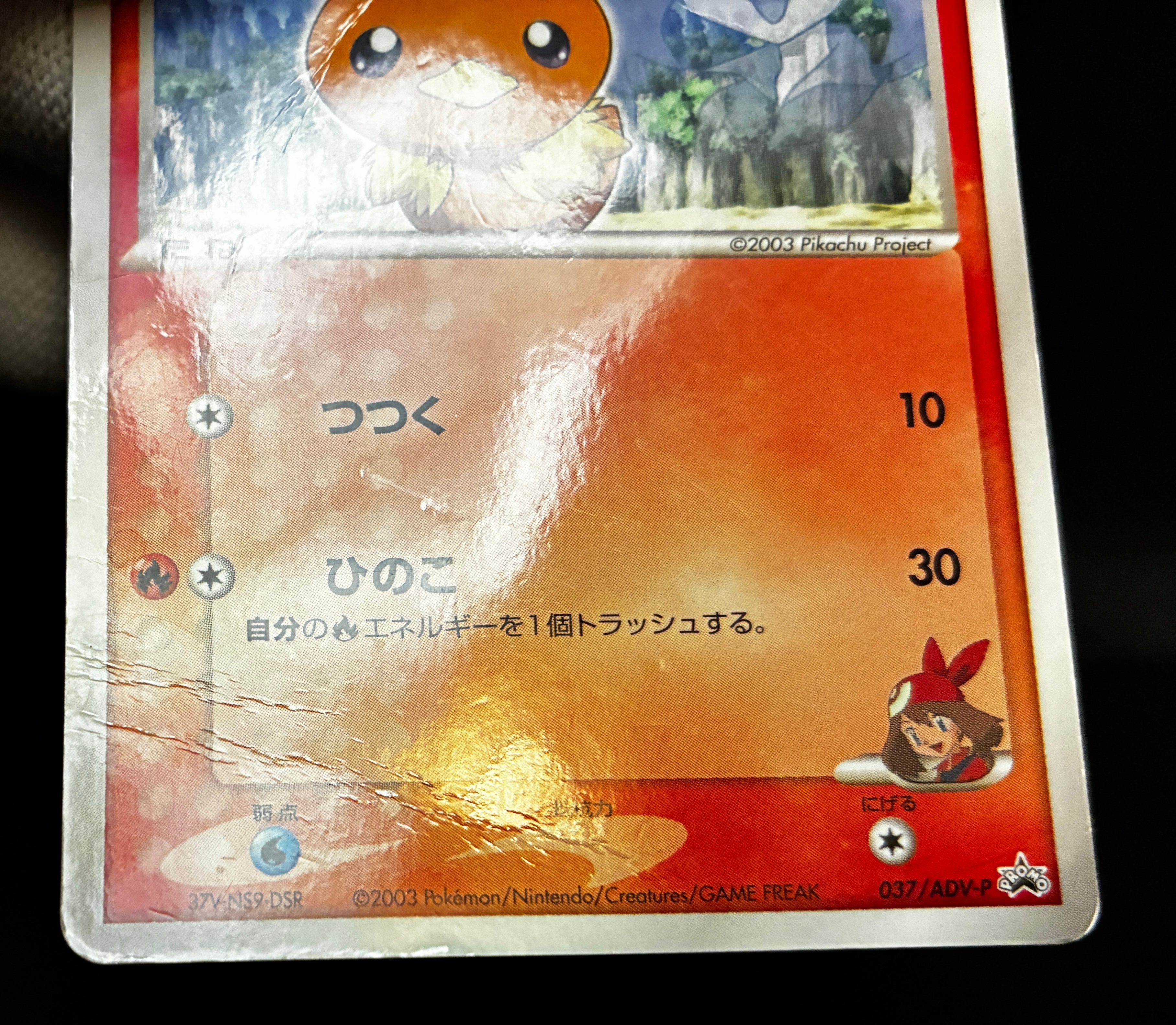 【HP】May's Torchic 037/ADV-P | Shogakukan Promo | Pokemon Card Japanese