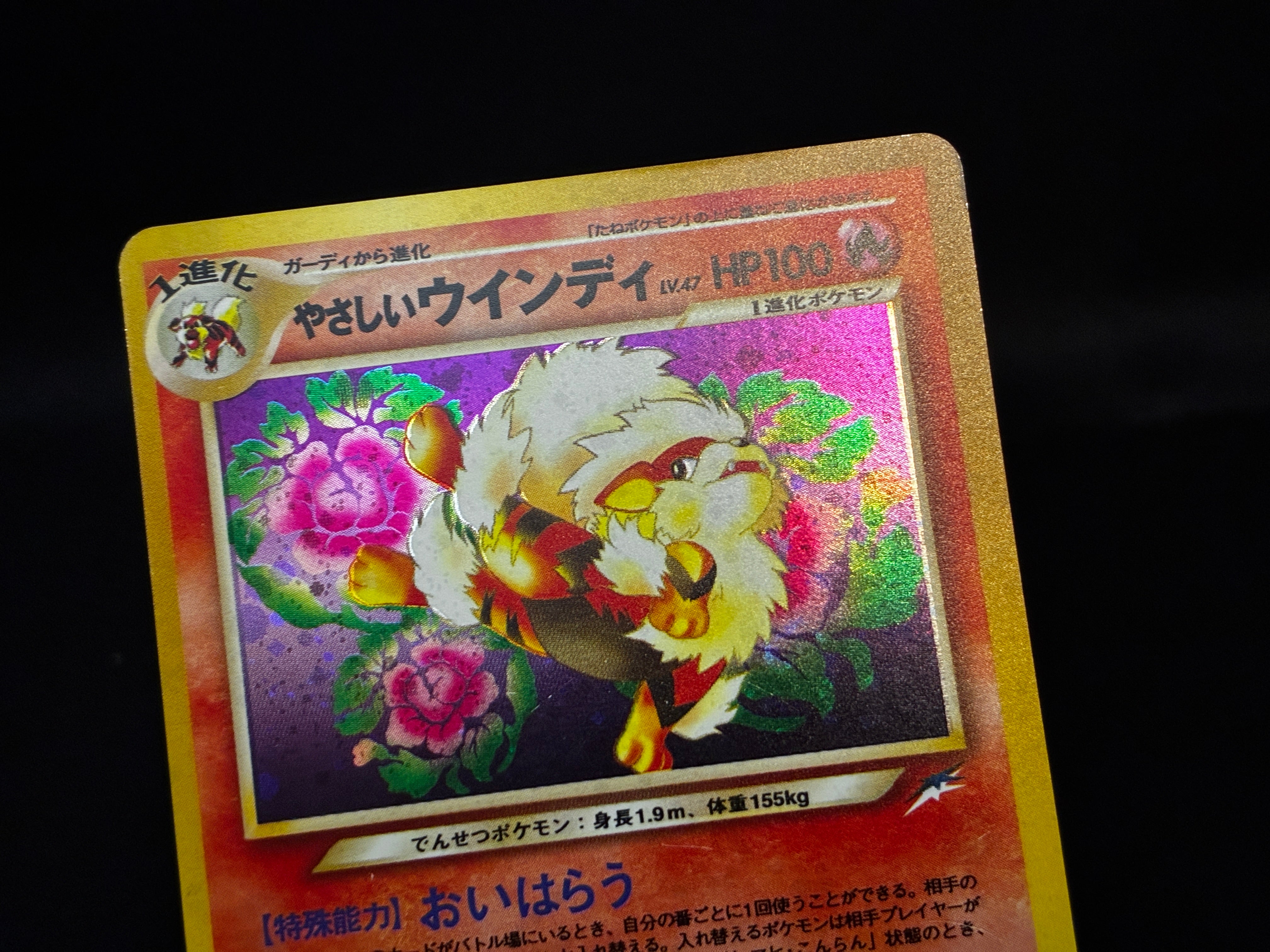 【LP】Light Arcanine No. 059 | Neo Destiny Holo | Japanese Pokemon Card
