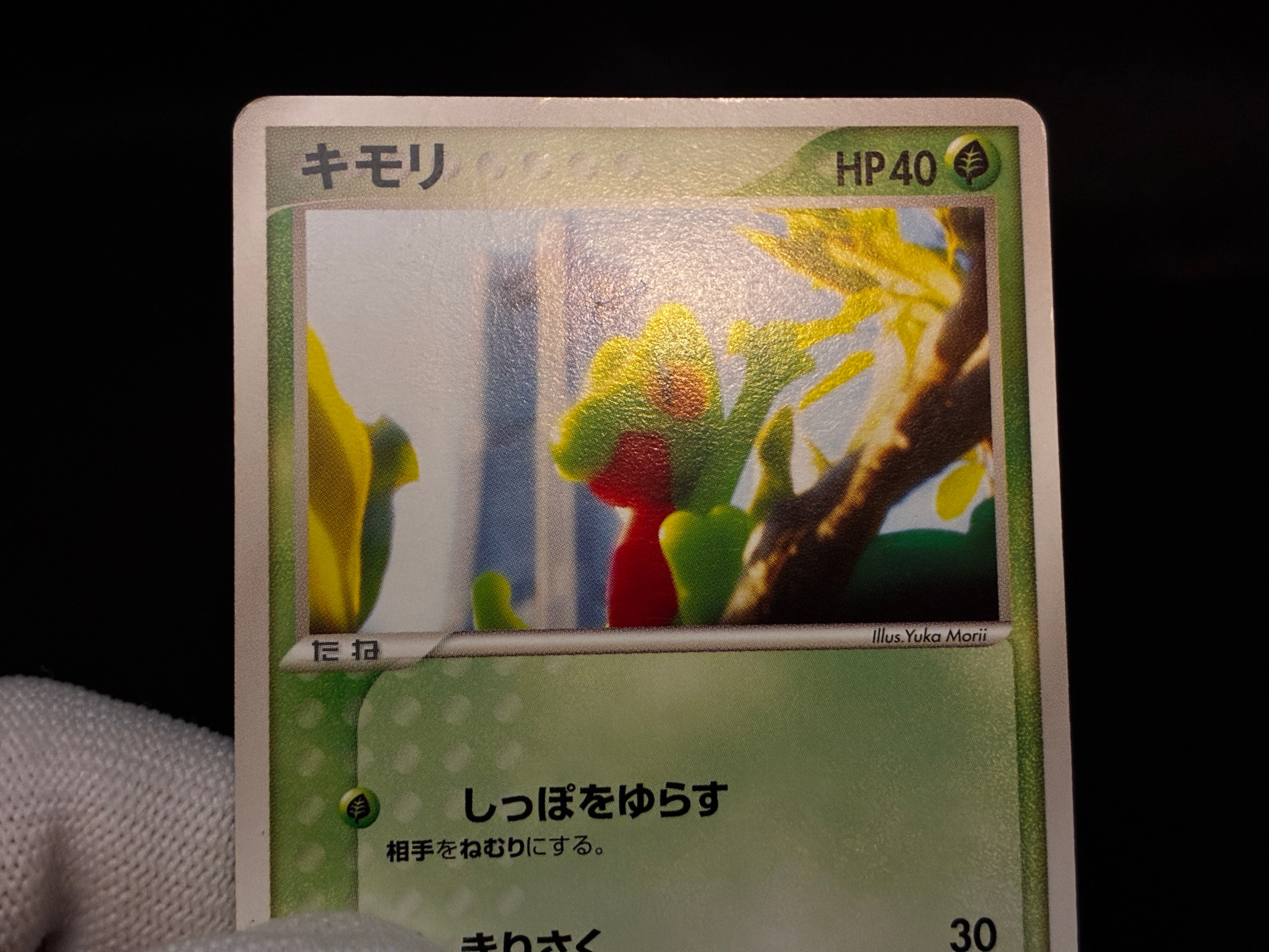 【LP】Treecko 037/PCG-P | Promo Yokohama Pokemon Center | Pokemon Card Japanese