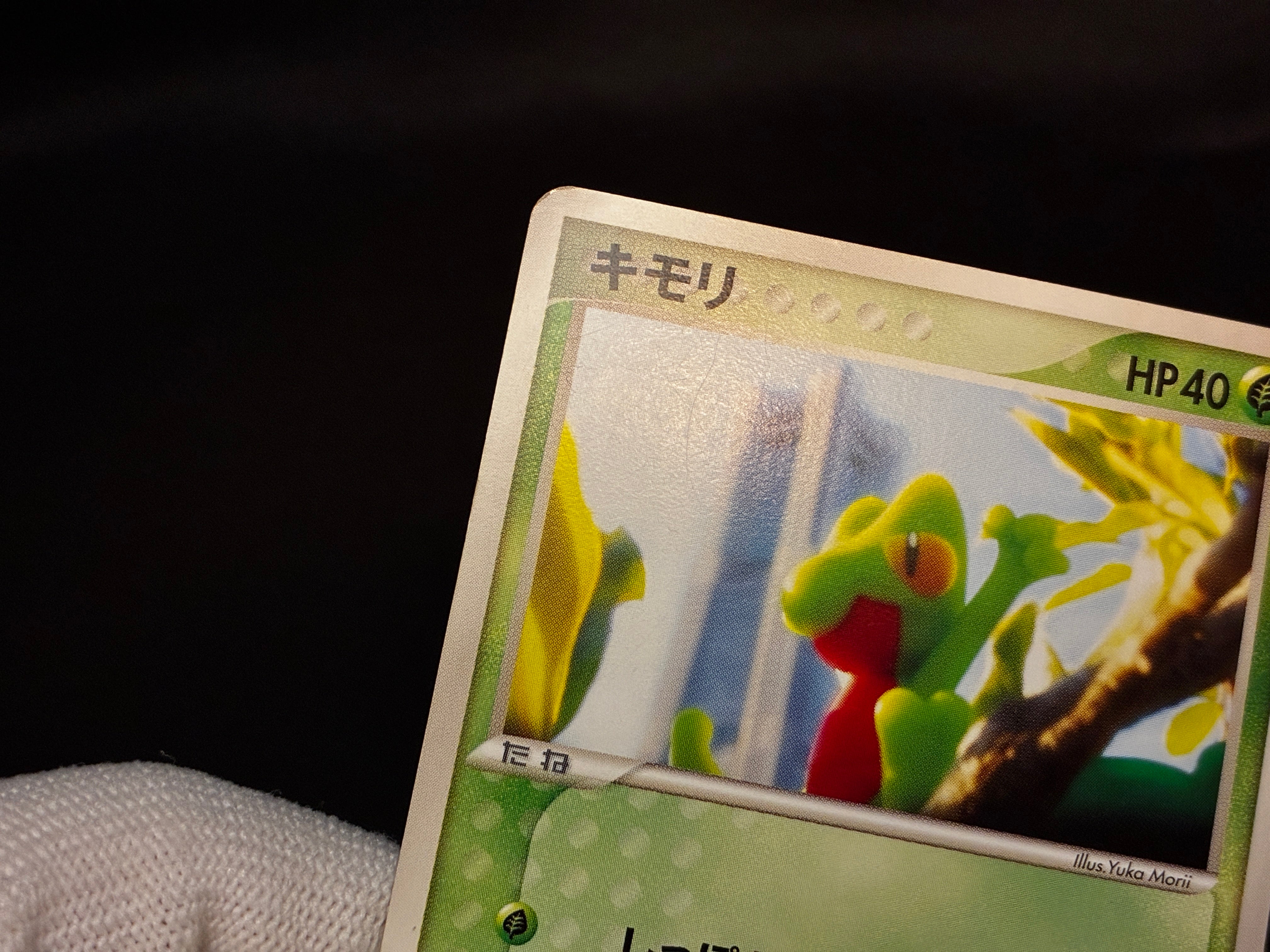 【LP】Treecko 037/PCG-P | Promo Yokohama Pokemon Center | Pokemon Card Japanese