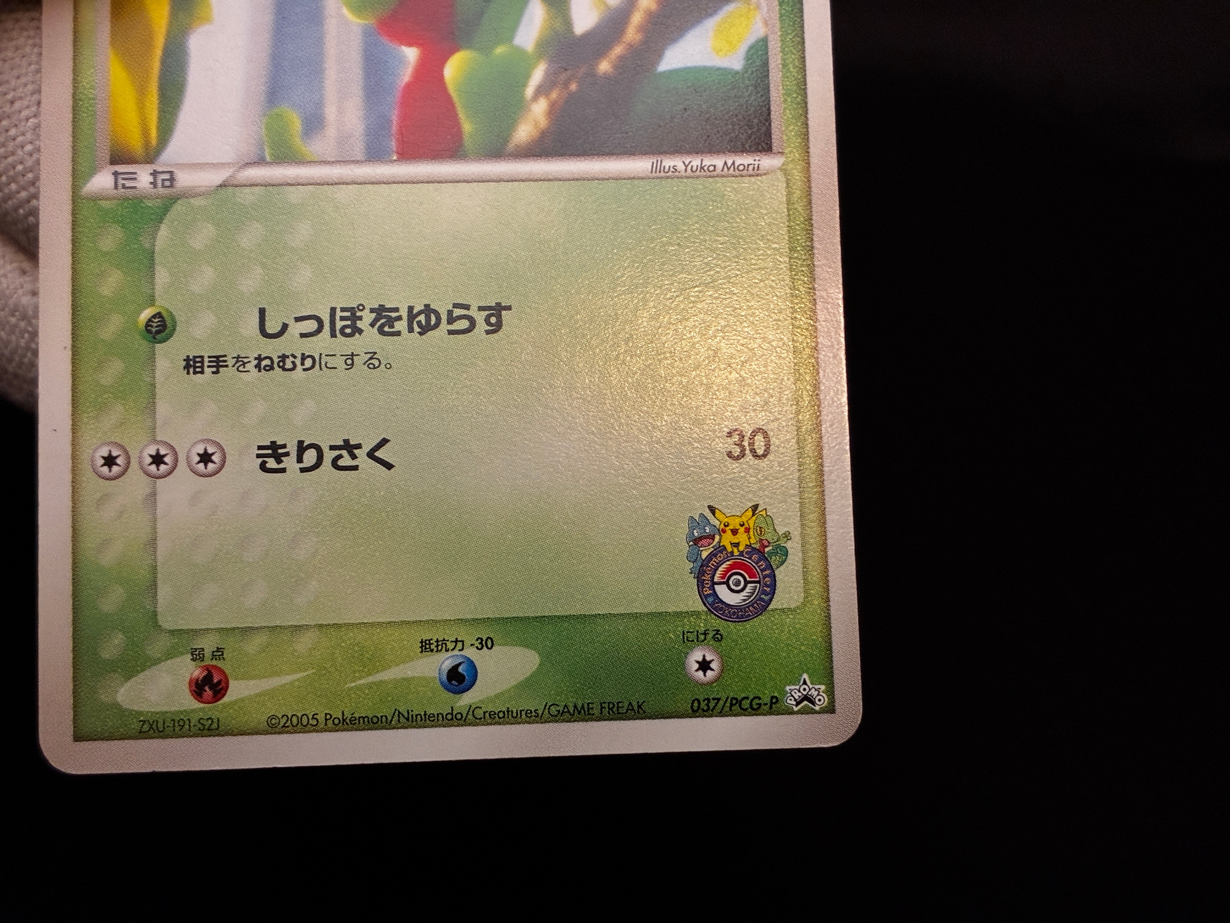 【LP】Treecko 037/PCG-P | Promo Yokohama Pokemon Center | Pokemon Card Japanese