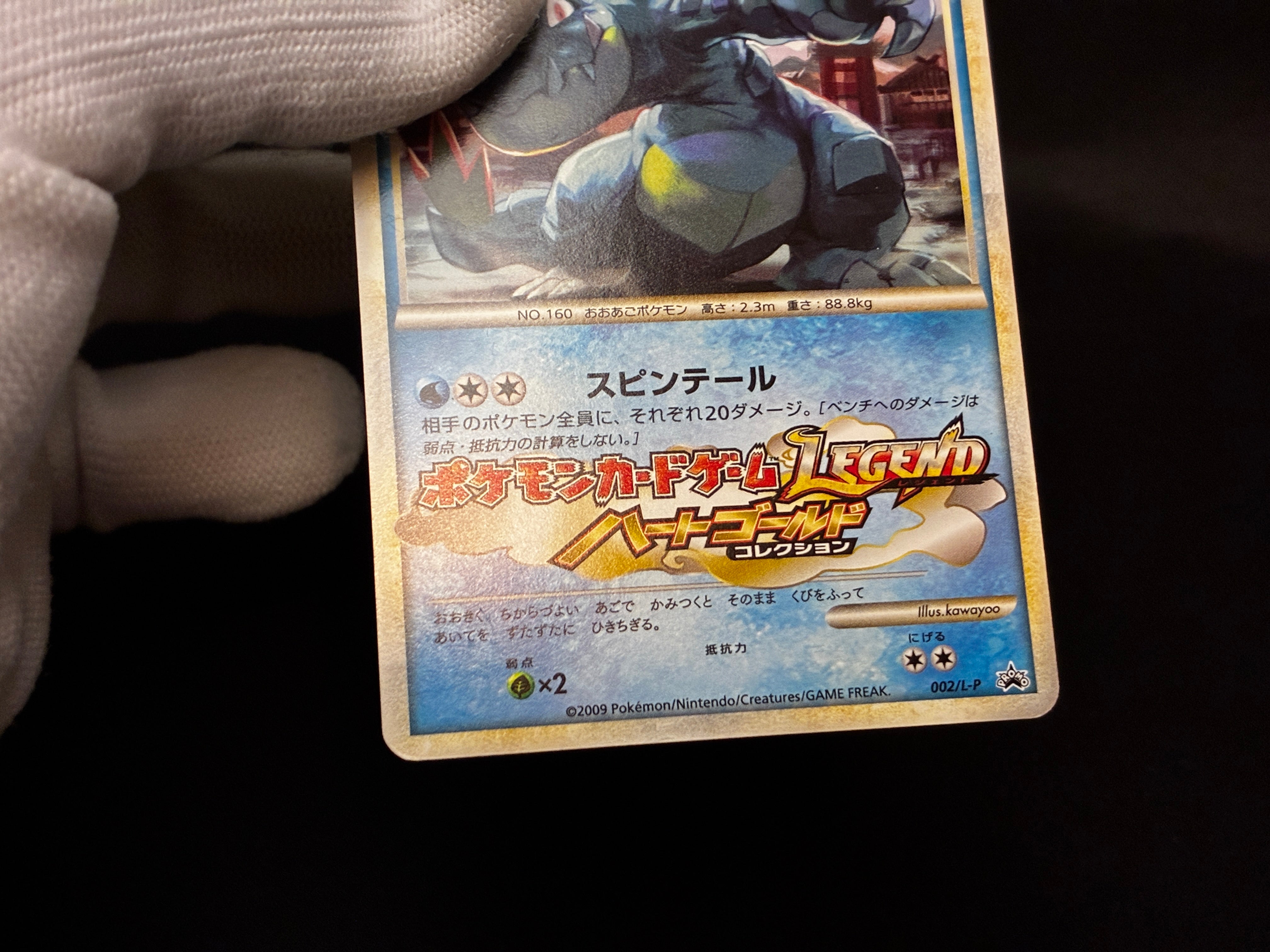 【LP】Feraligatr 002/L-P | Promo Gym Challenge participation | Pokemon Card Japanese