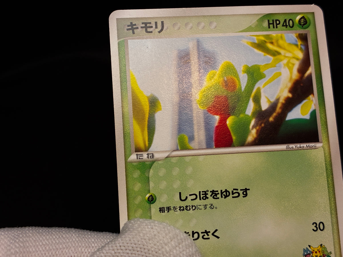 【LP】Treecko 037/PCG-P | Promo Yokohama Pokemon Center | Pokemon Card Japanese