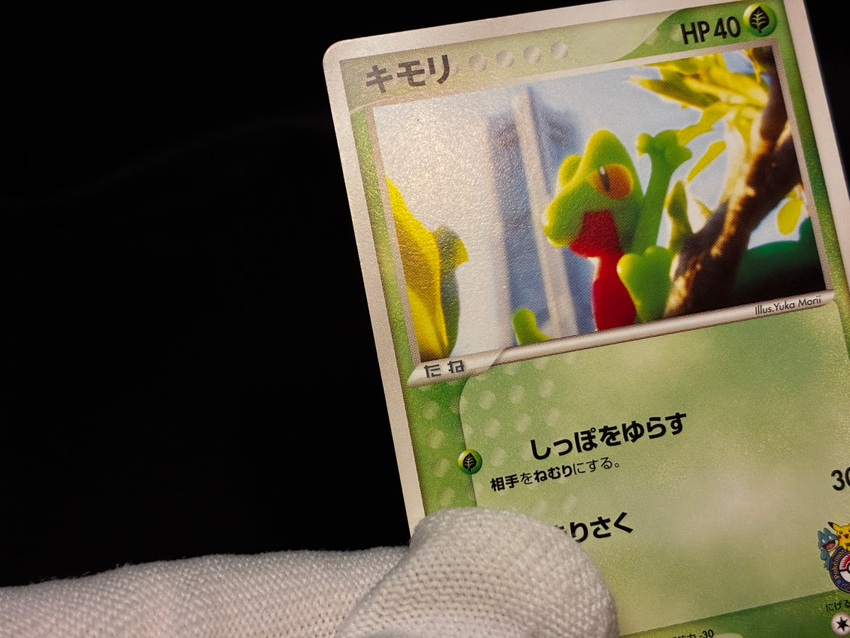 【LP】Treecko 037/PCG-P | Promo Yokohama Pokemon Center | Pokemon Card Japanese