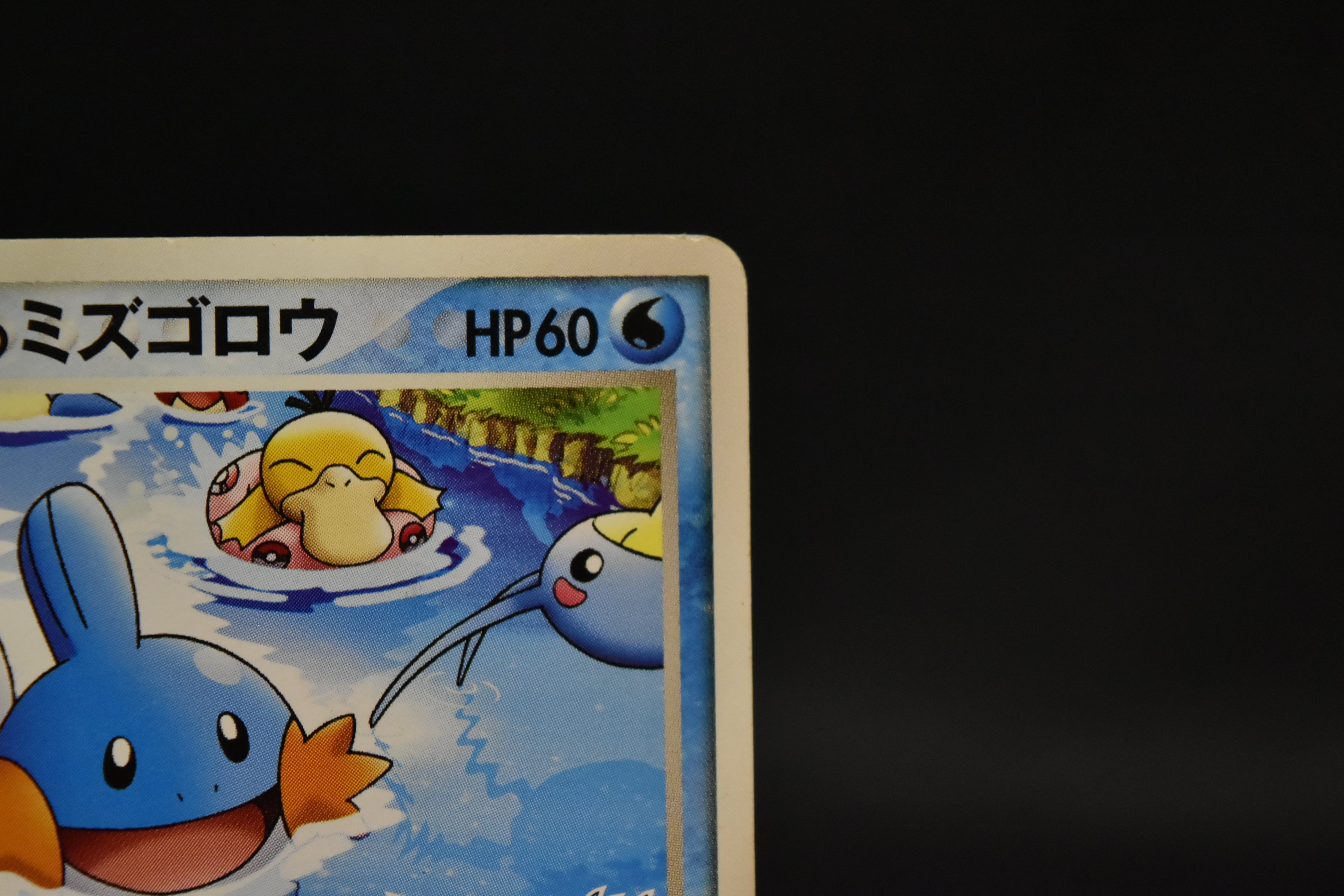 【MP】Pokepark's Mudkip 048/PCG-P | PokePark Promo 2005 | Pokemon Card Japanese