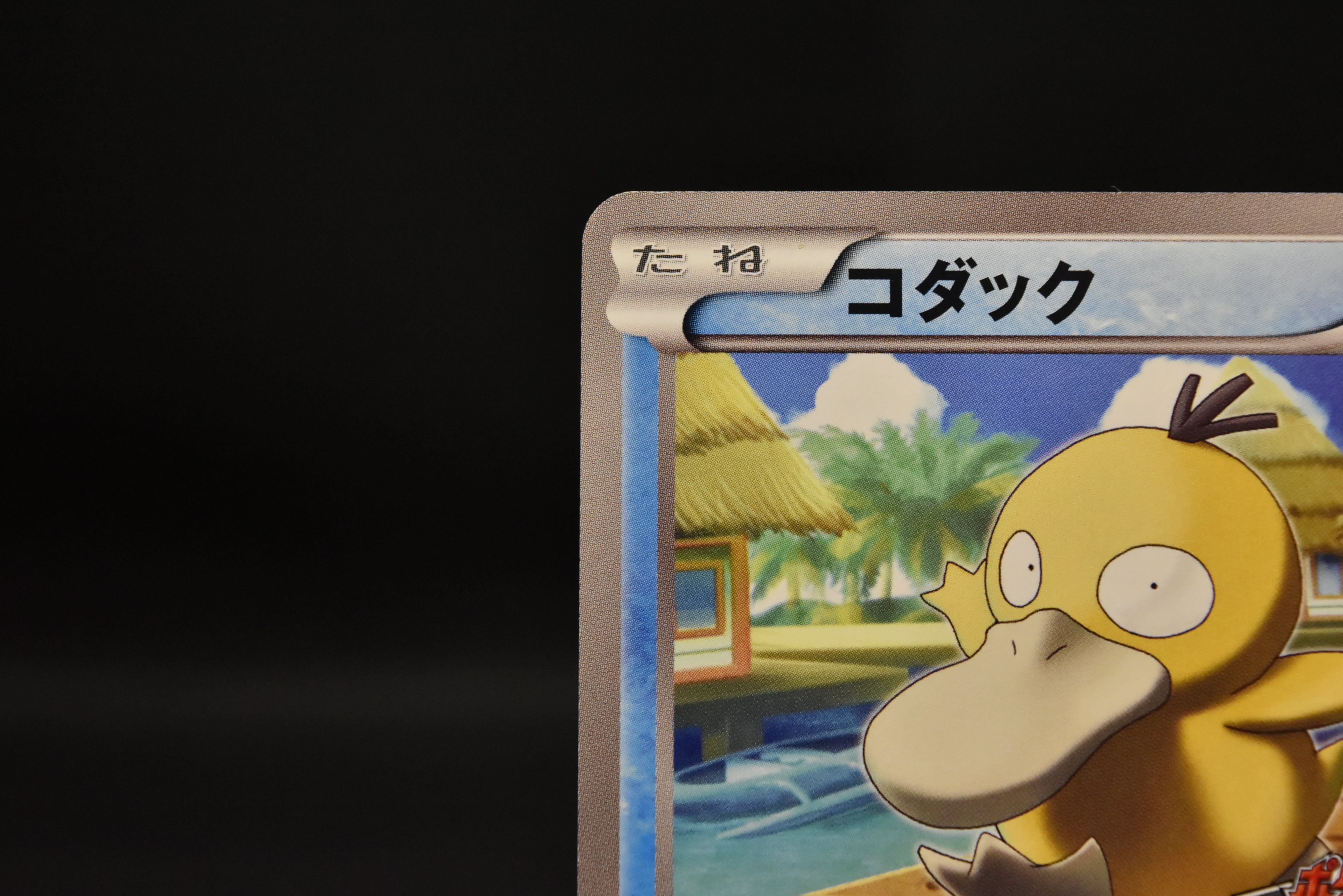 【LP】Psyduck 167/BW-P Gym Challenge Promo | Pokemon Card Japanese