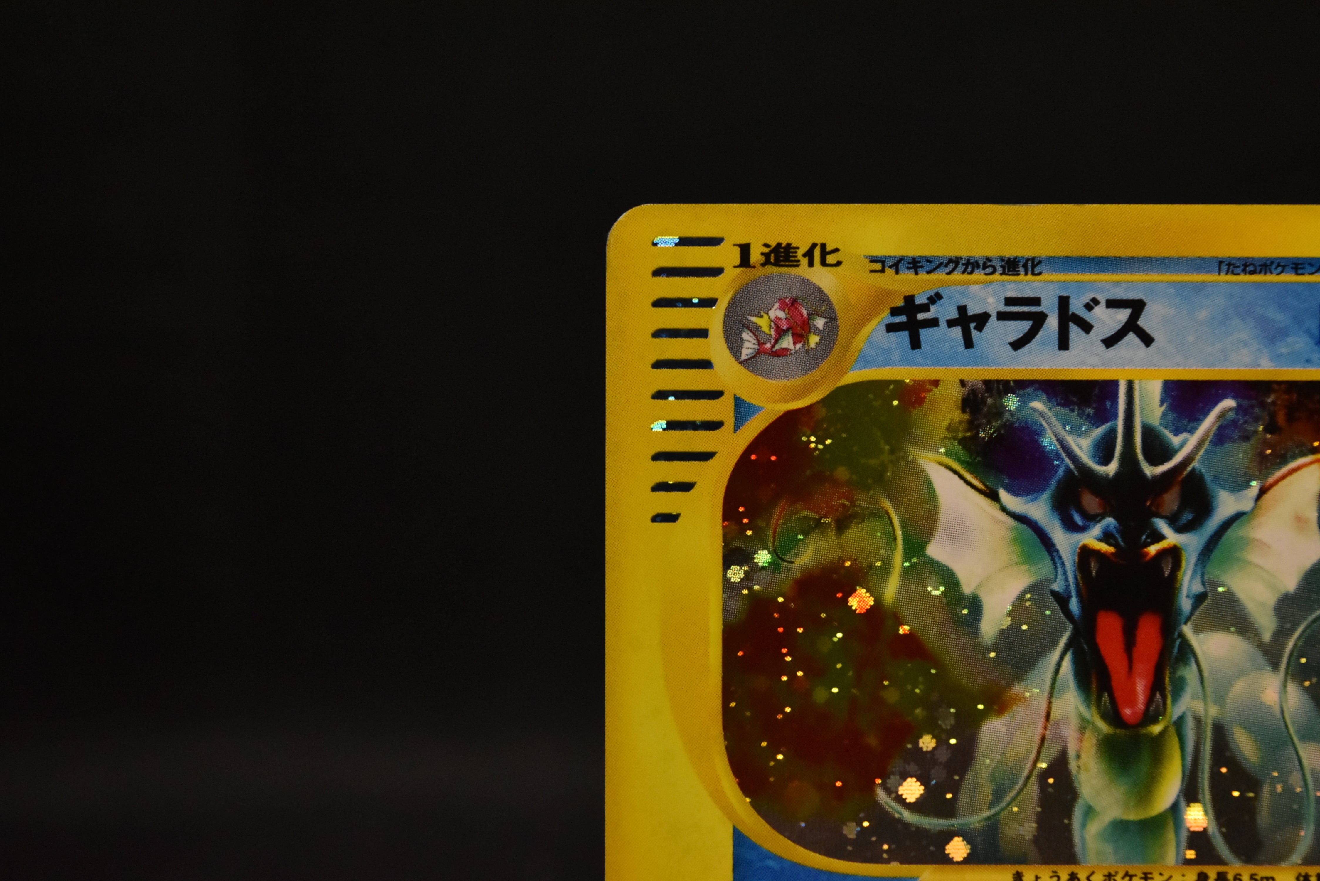 【LP】Gyarados 028/088 Holo 1st Edition e-Series | Skyridge Mysterious Mountains | Pokemon Card Japanese