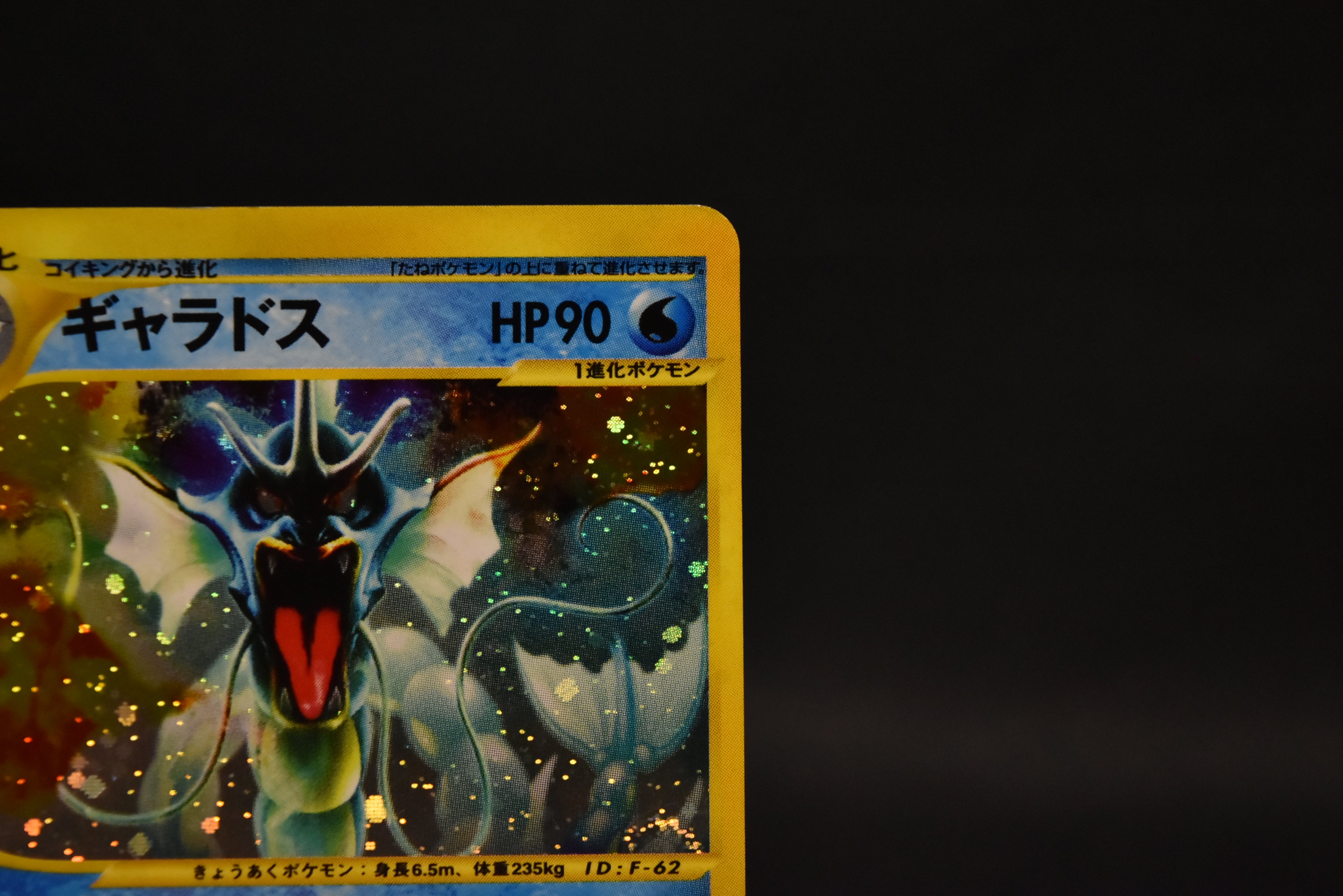 【LP】Gyarados 028/088 Holo 1st Edition e-Series | Skyridge Mysterious Mountains | Pokemon Card Japanese