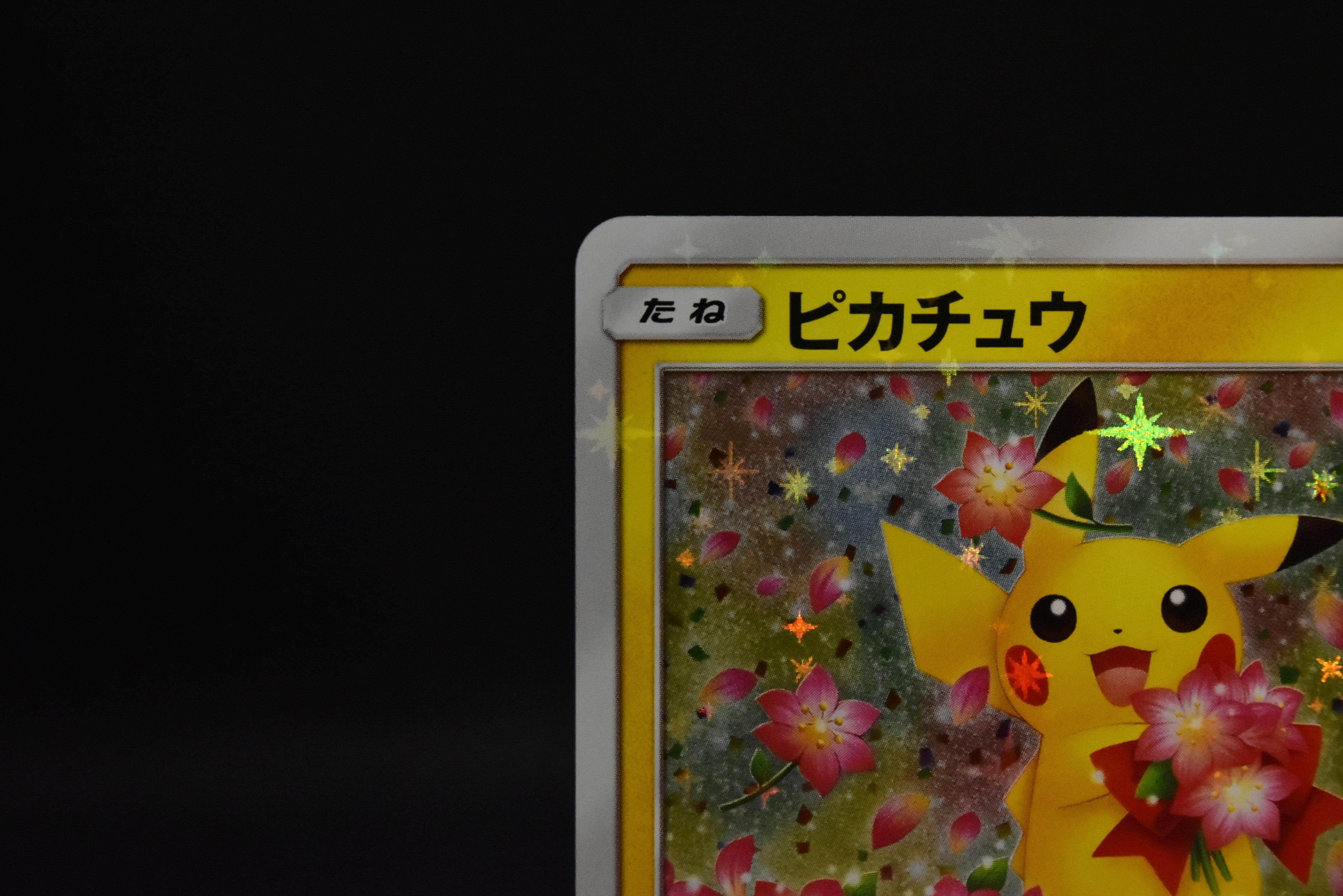 【MP】Pikachu 224/SM-P | Pokemon Center 20th Anniversary Promo | Pokemon Card Japanese