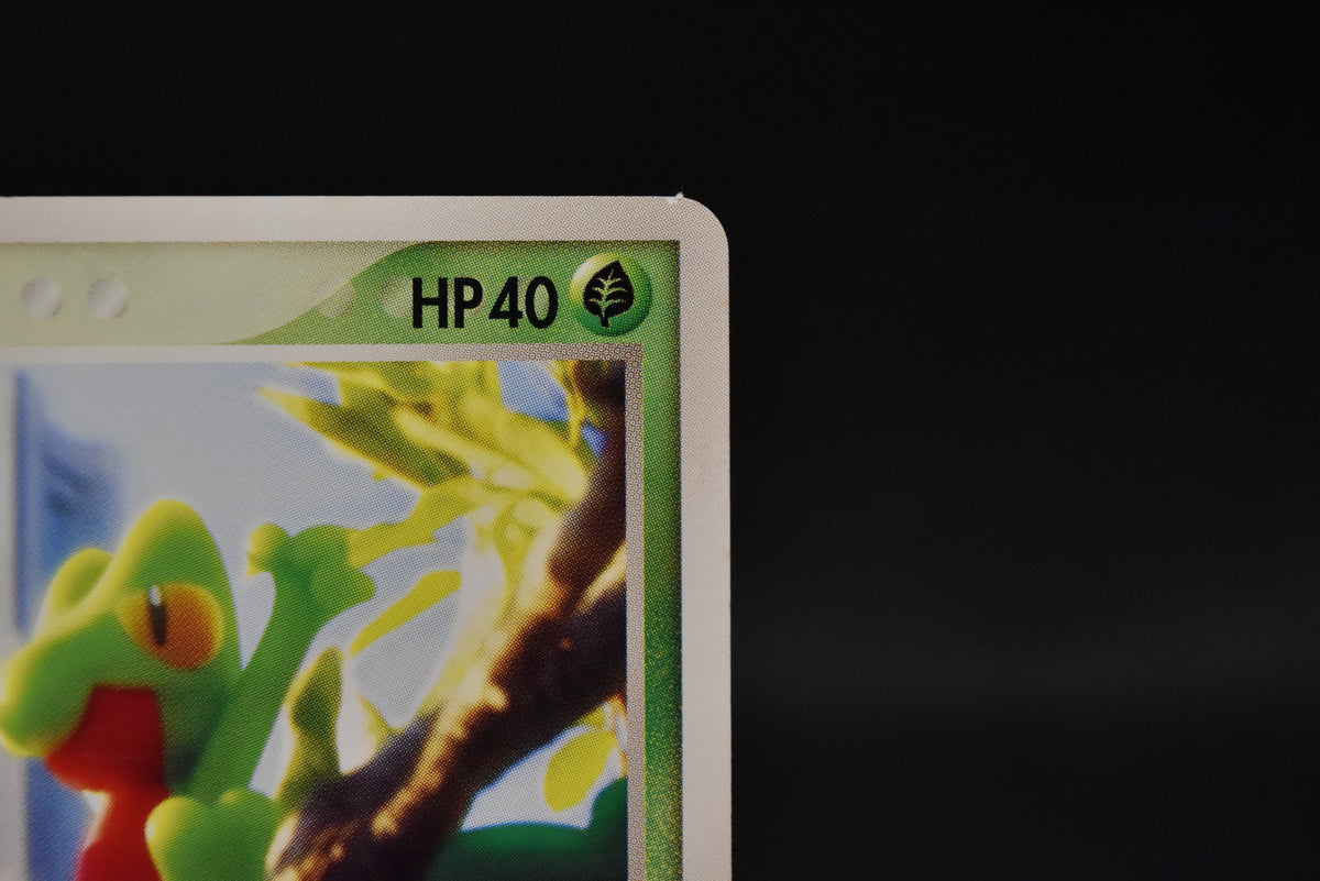 【LP】Treecko 037/PCG-P | Promo Yokohama Pokemon Center | Pokemon Card Japanese
