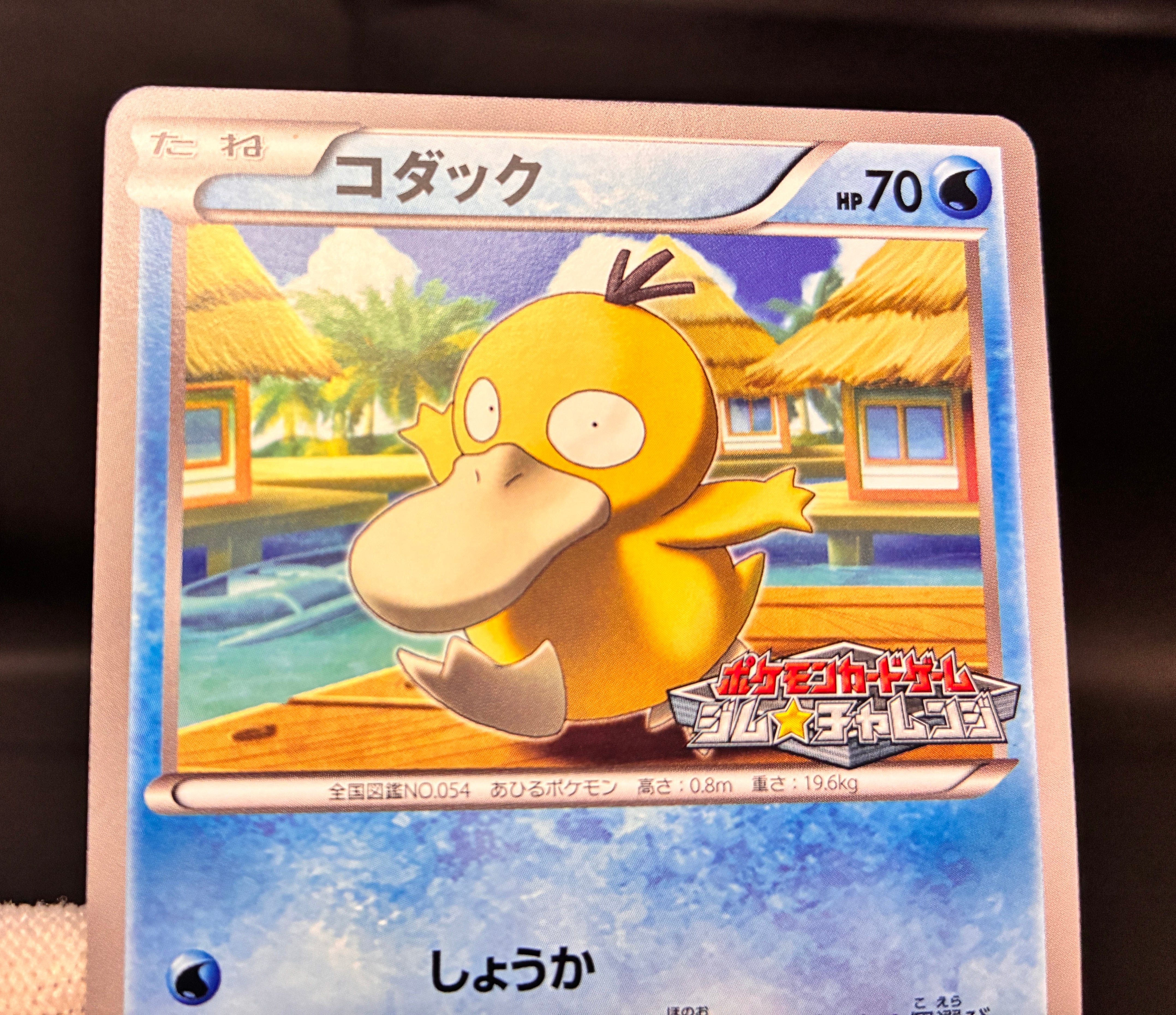 【LP】Psyduck 167/BW-P Gym Challenge Promo | Pokemon Card Japanese