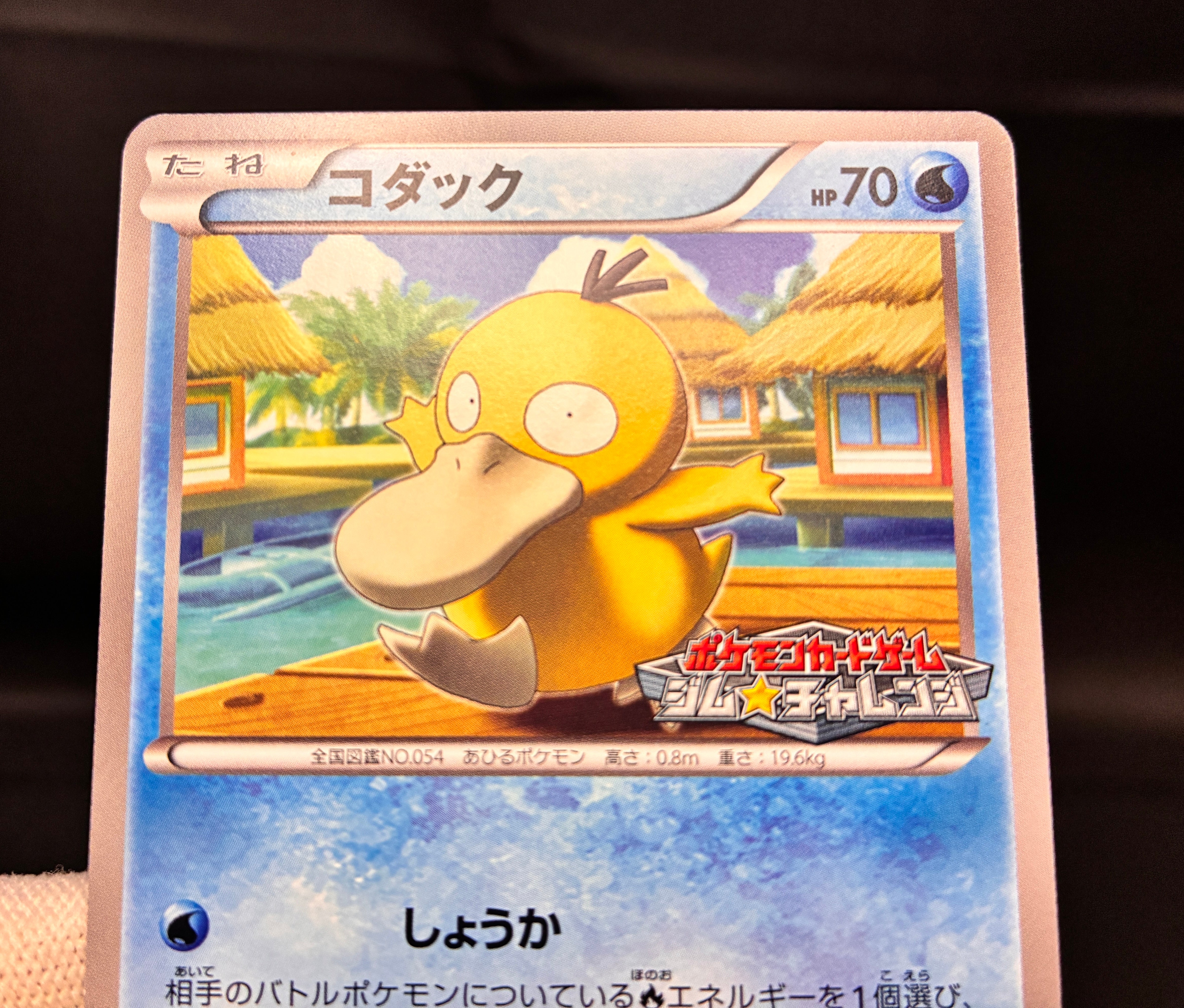 【LP】Psyduck 167/BW-P Gym Challenge Promo | Pokemon Card Japanese