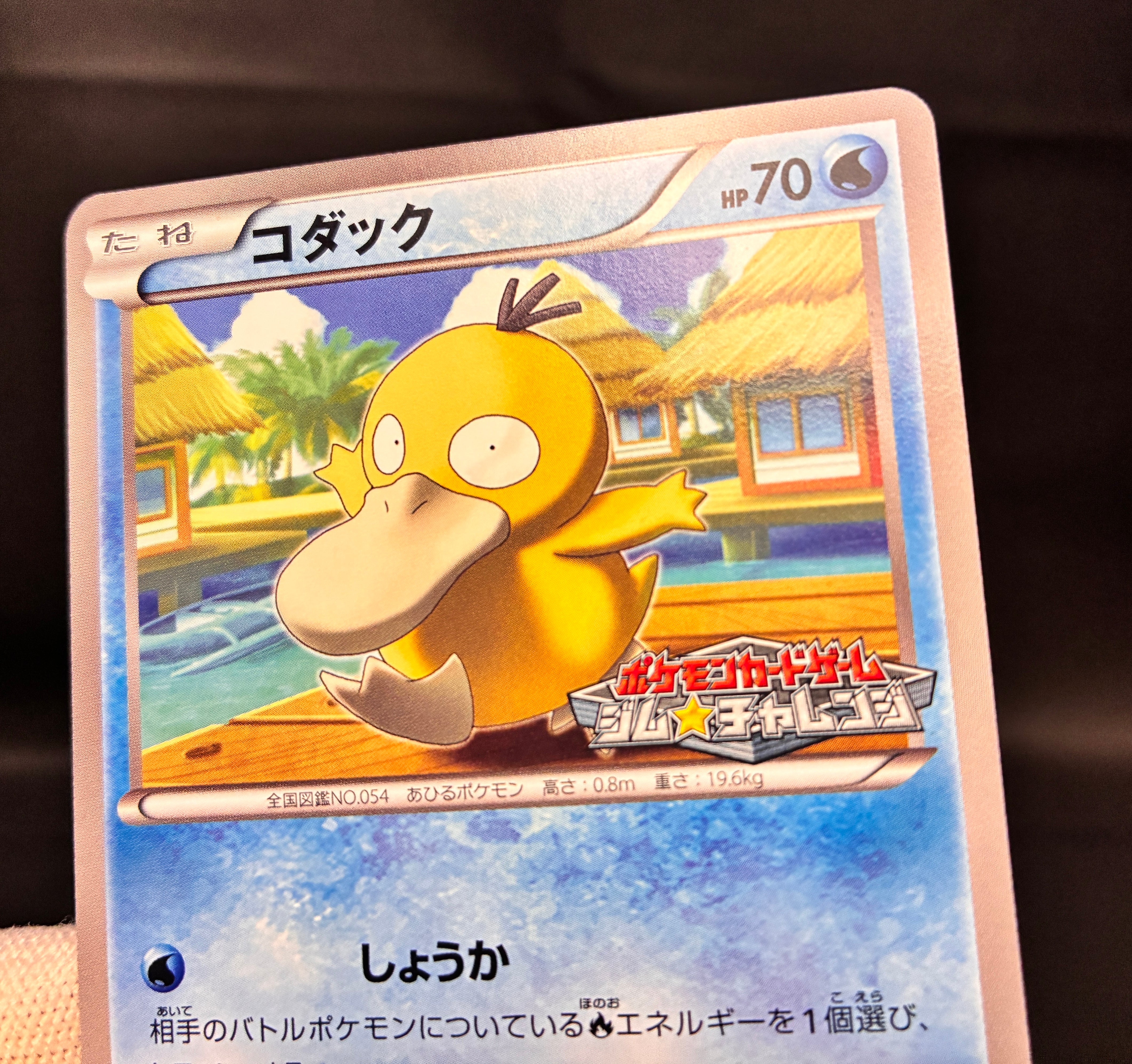 【LP】Psyduck 167/BW-P Gym Challenge Promo | Pokemon Card Japanese