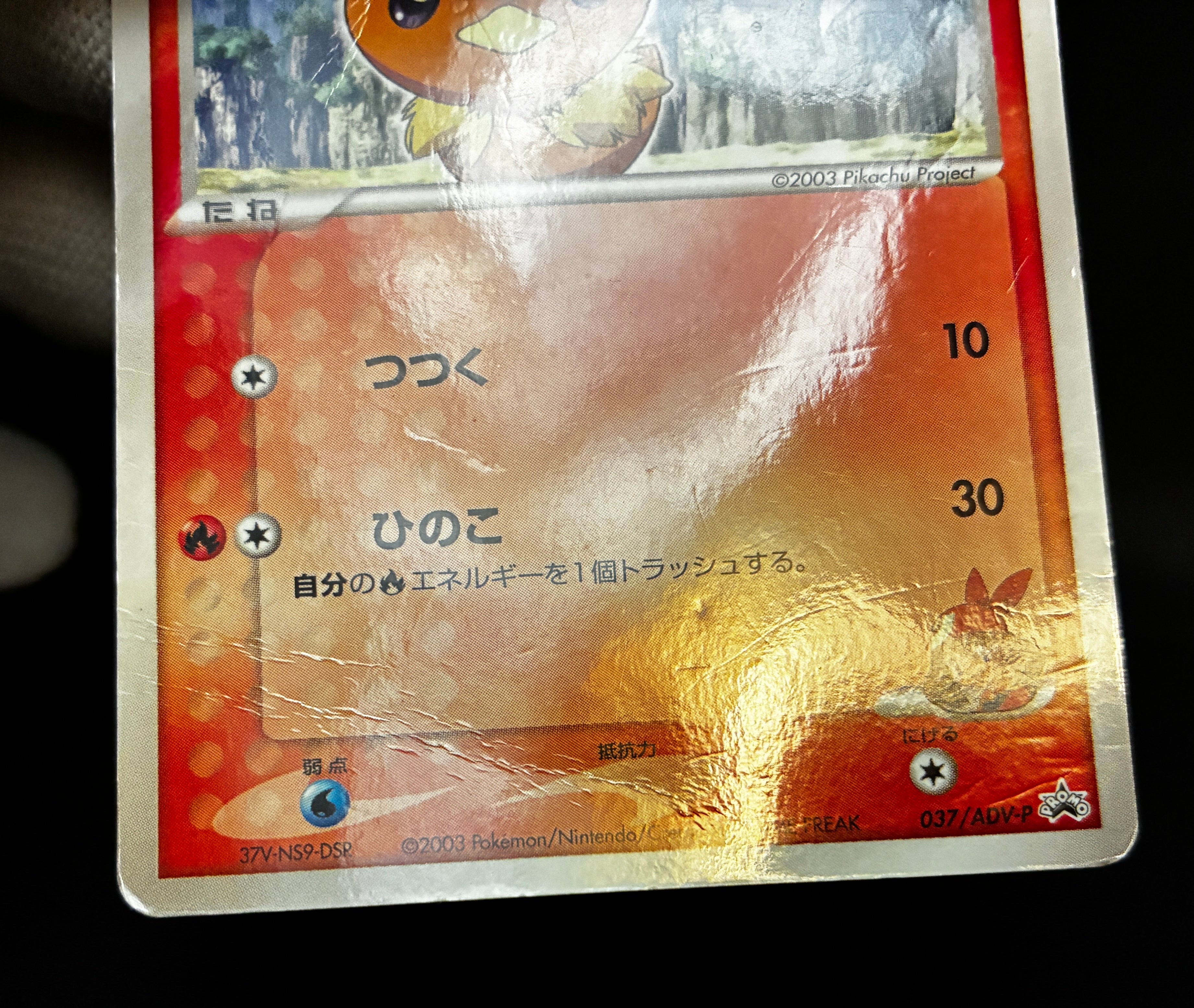 【HP】May's Torchic 037/ADV-P | Shogakukan Promo | Pokemon Card Japanese