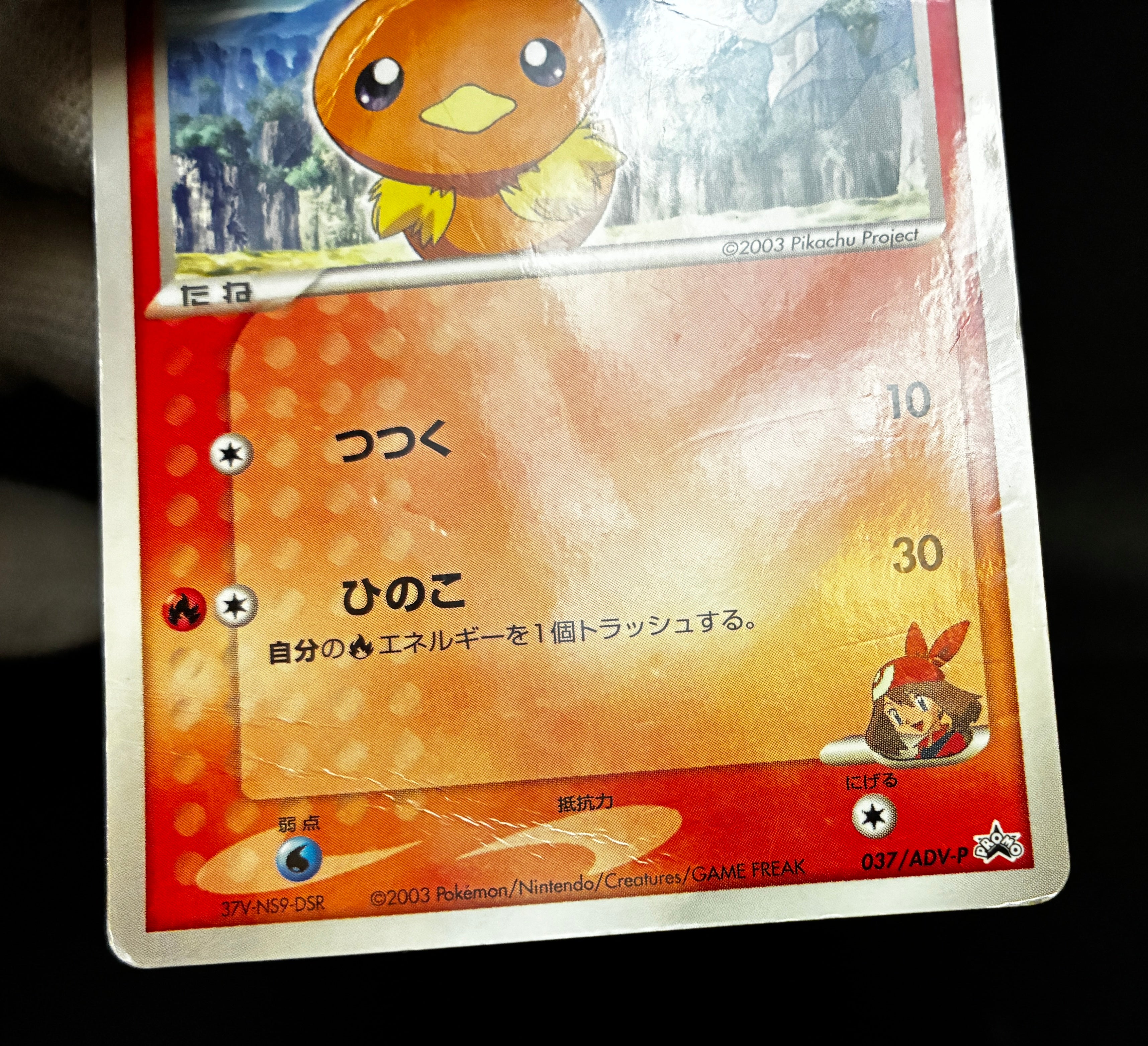 【HP】May's Torchic 037/ADV-P | Shogakukan Promo | Pokemon Card Japanese