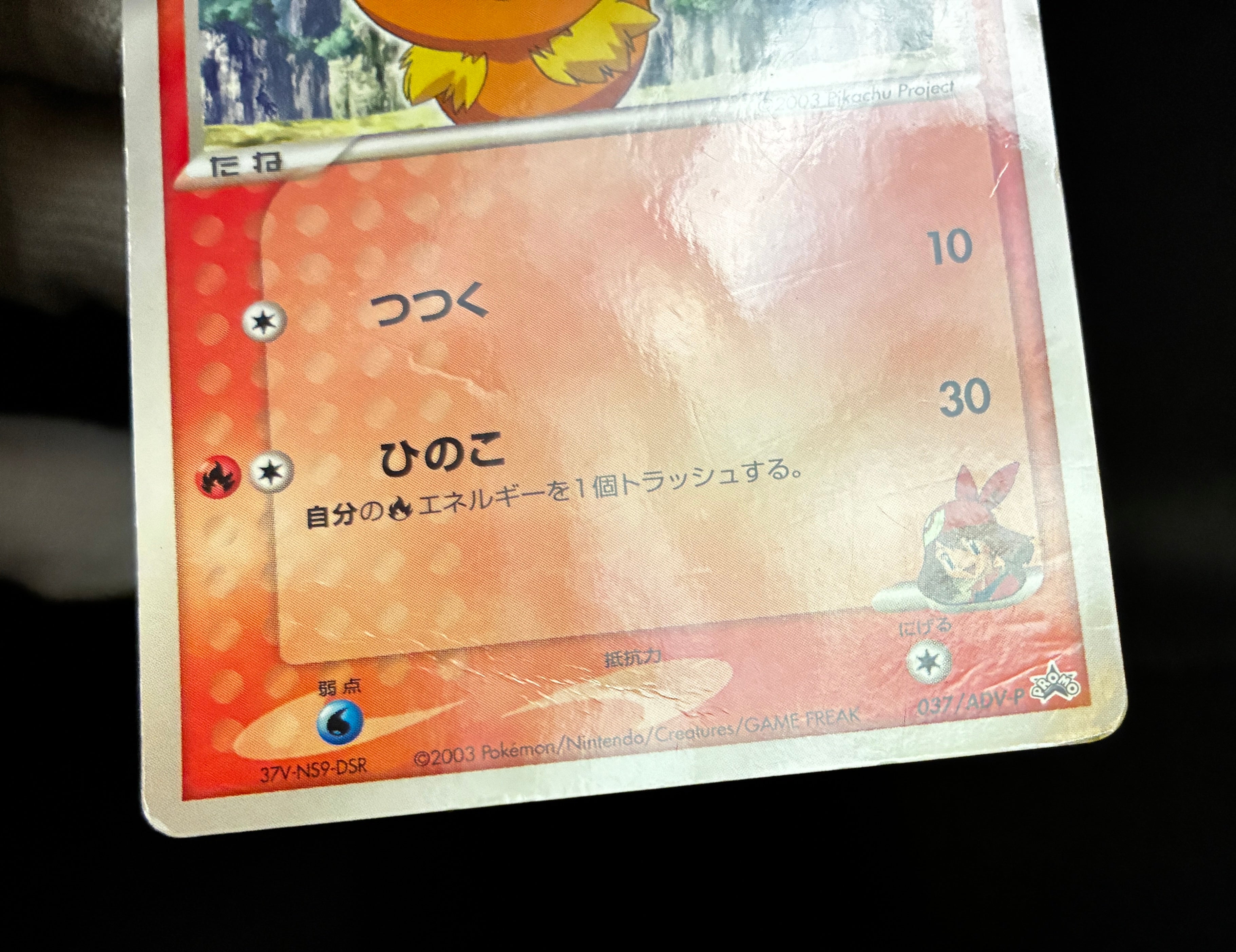 【HP】May's Torchic 037/ADV-P | Shogakukan Promo | Pokemon Card Japanese