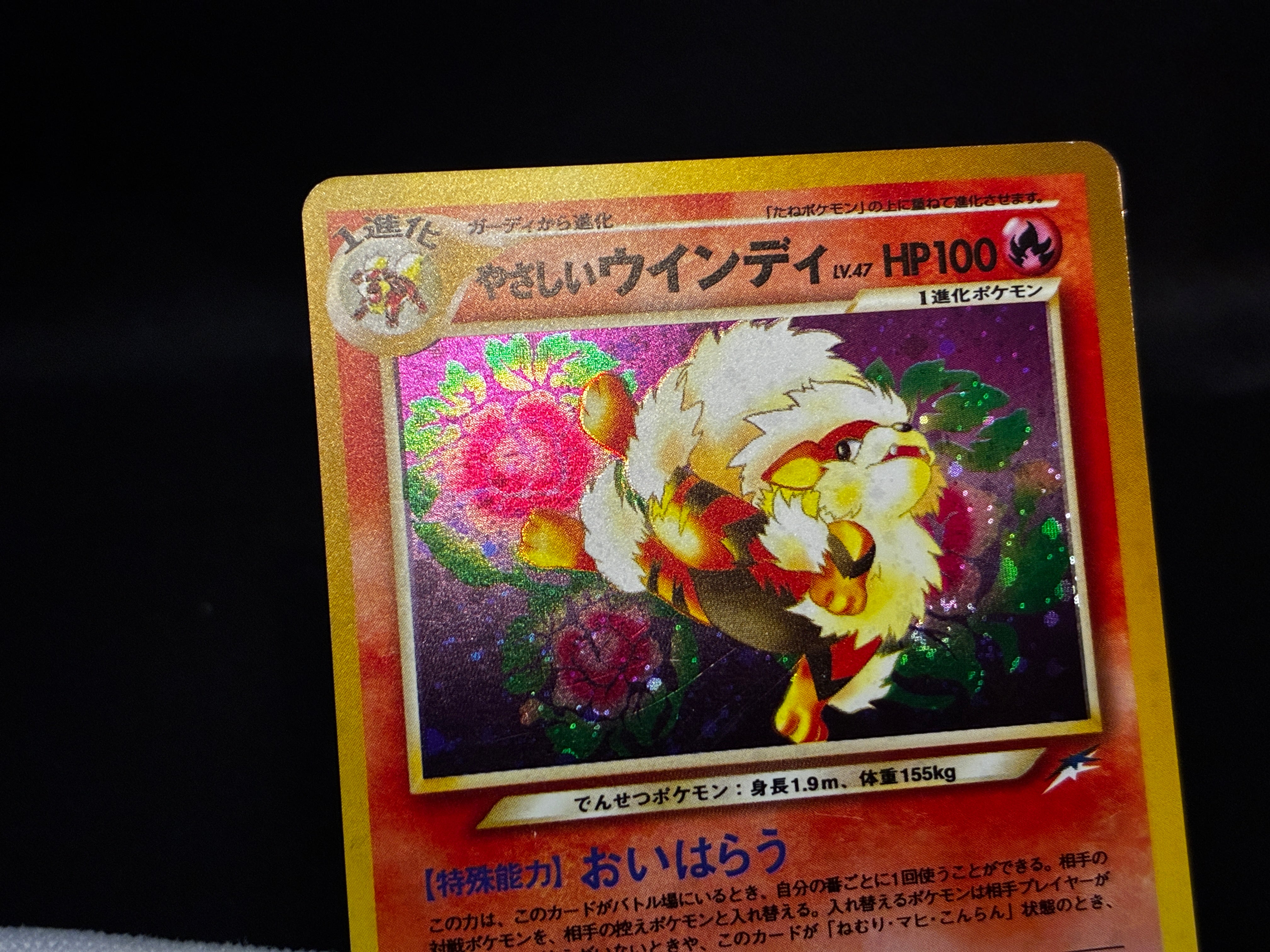 【LP】Light Arcanine No. 059 | Neo Destiny Holo | Japanese Pokemon Card