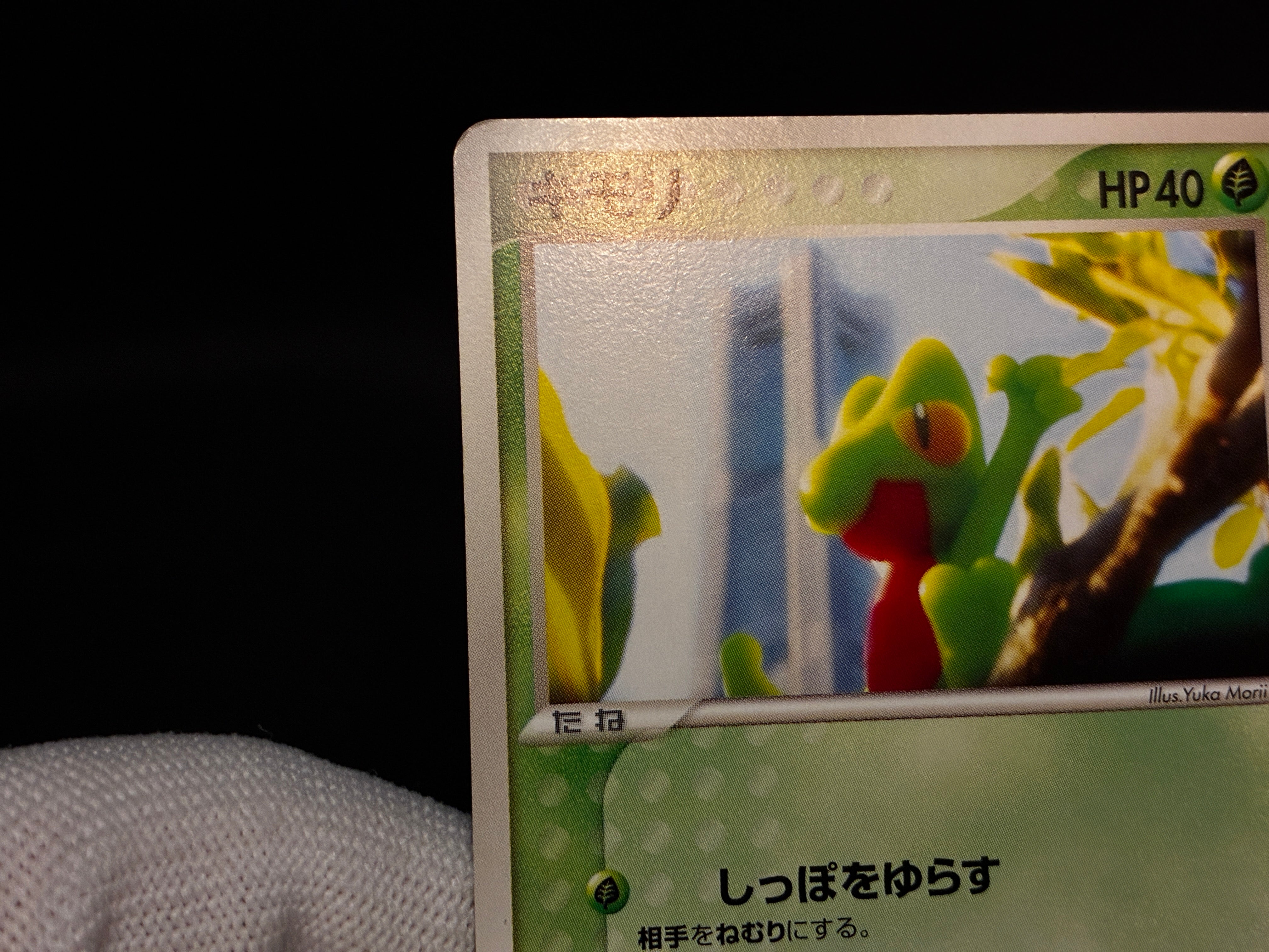 【LP】Treecko 037/PCG-P | Promo Yokohama Pokemon Center | Pokemon Card Japanese