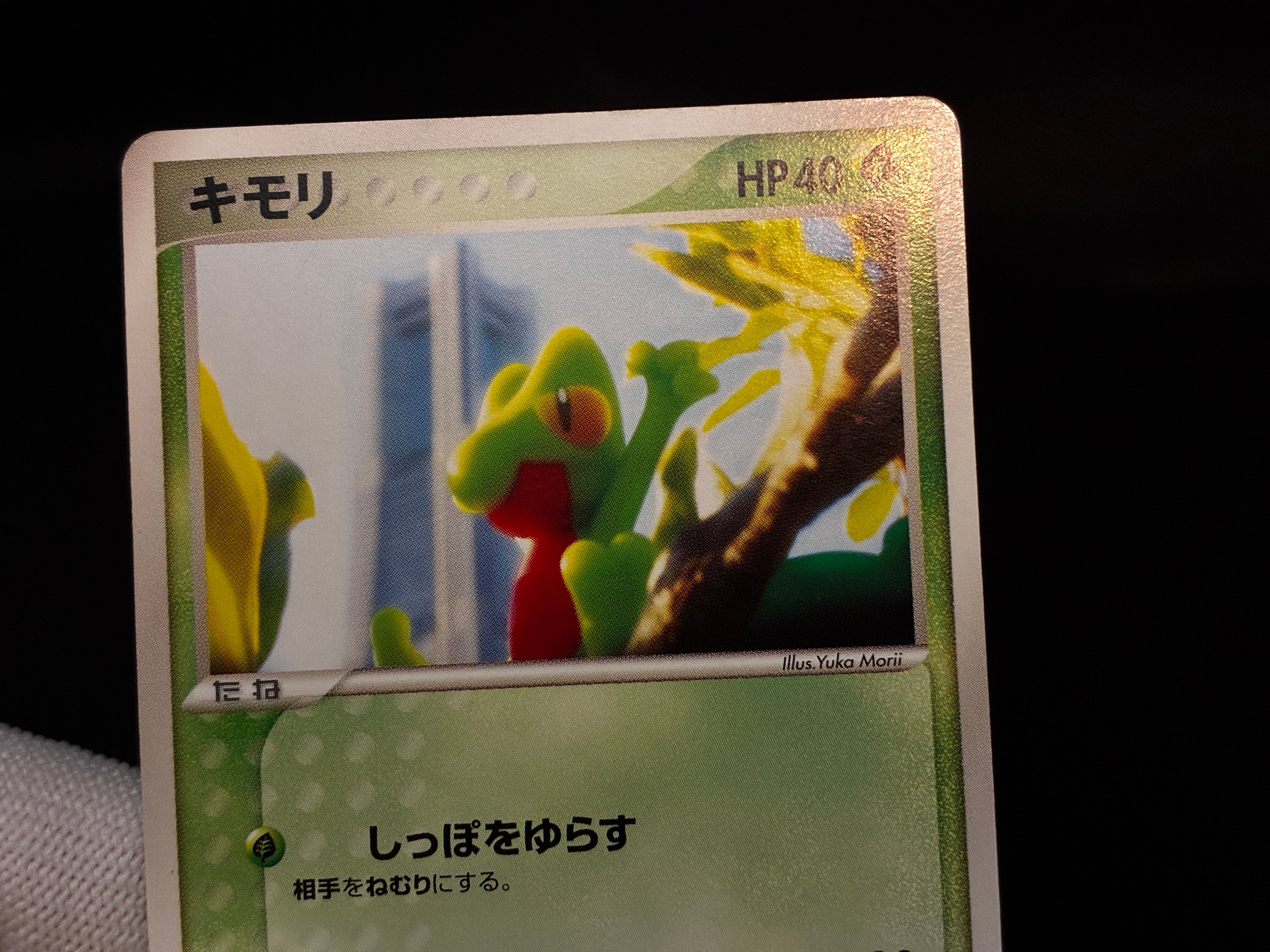 【LP】Treecko 037/PCG-P | Promo Yokohama Pokemon Center | Pokemon Card Japanese