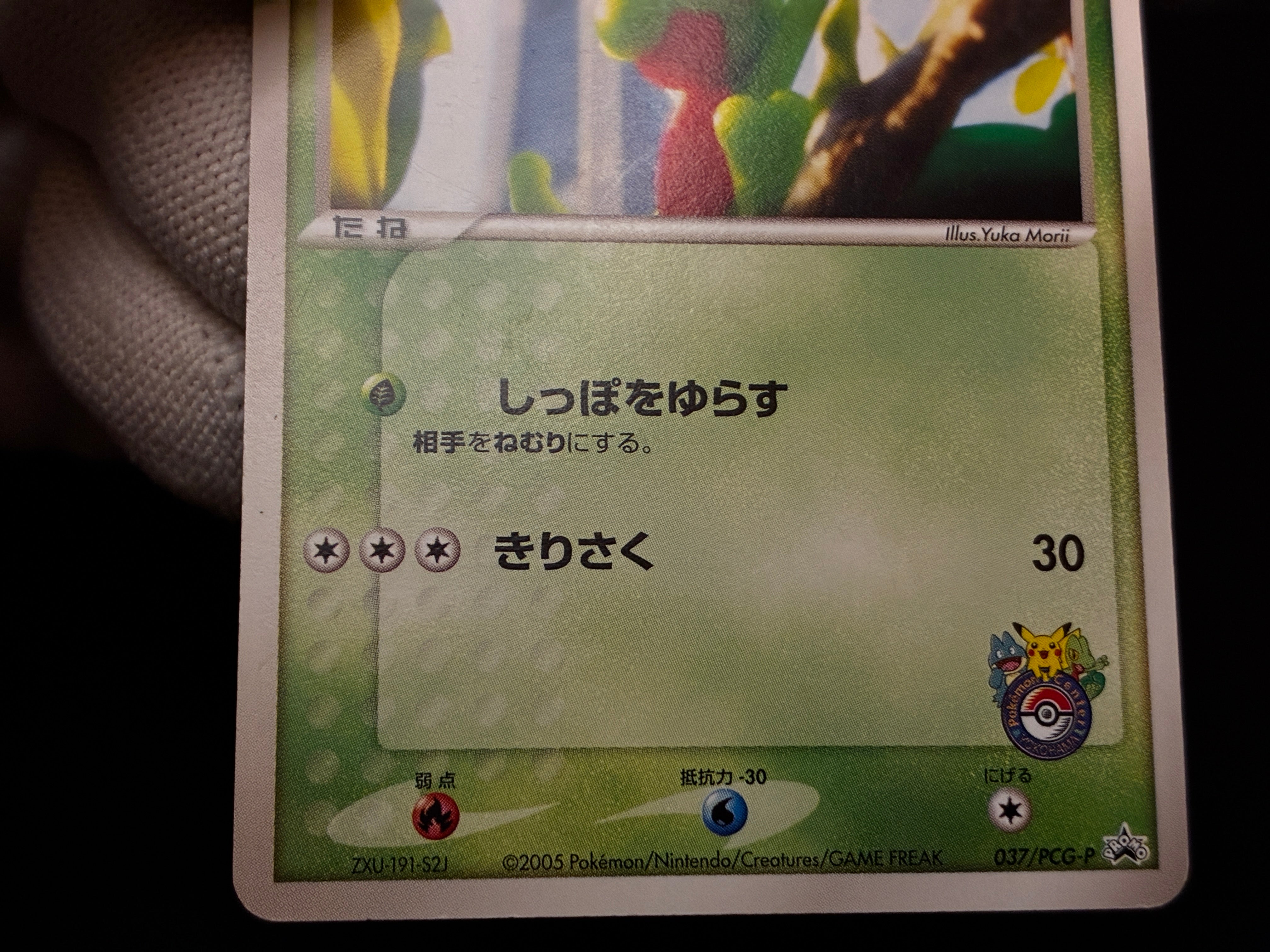【LP】Treecko 037/PCG-P | Promo Yokohama Pokemon Center | Pokemon Card Japanese