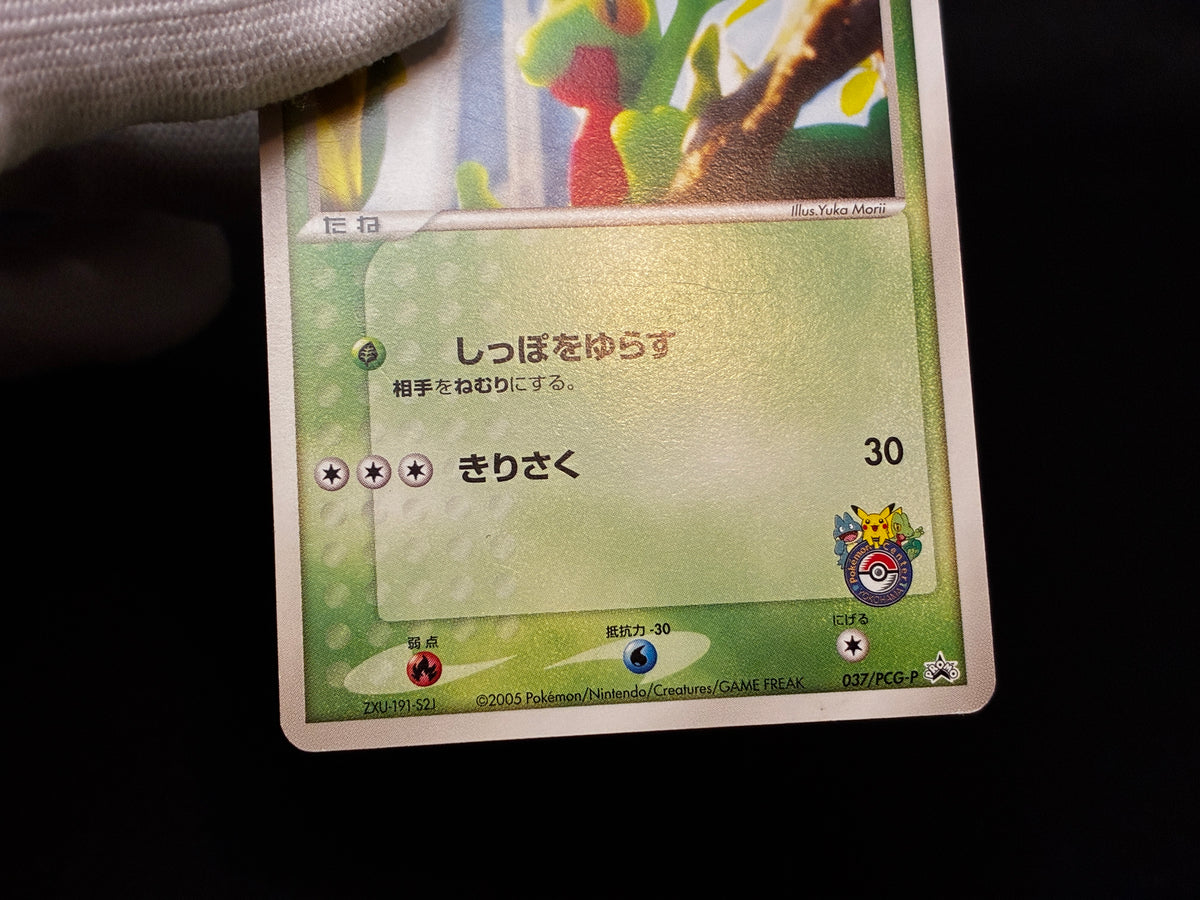 【LP】Treecko 037/PCG-P | Promo Yokohama Pokemon Center | Pokemon Card Japanese