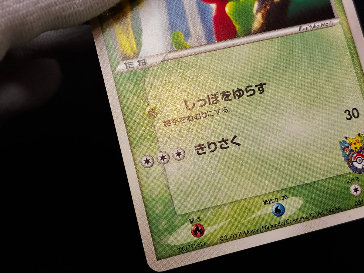 【LP】Treecko 037/PCG-P | Promo Yokohama Pokemon Center | Pokemon Card Japanese