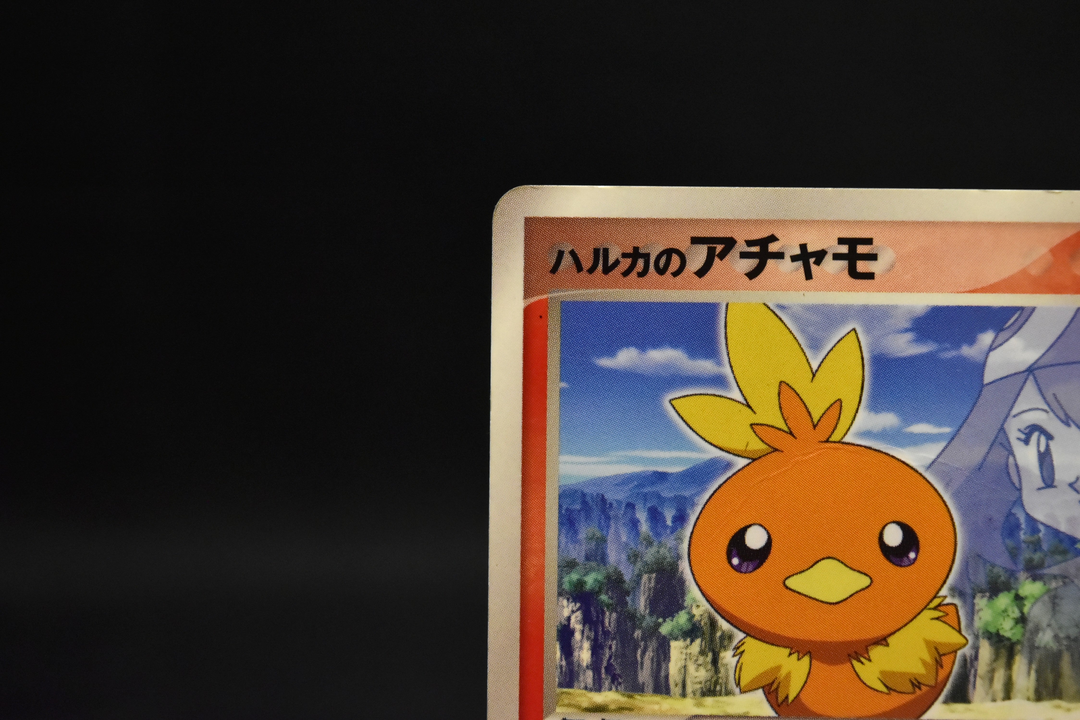 【HP】May's Torchic 037/ADV-P | Shogakukan Promo | Pokemon Card Japanese