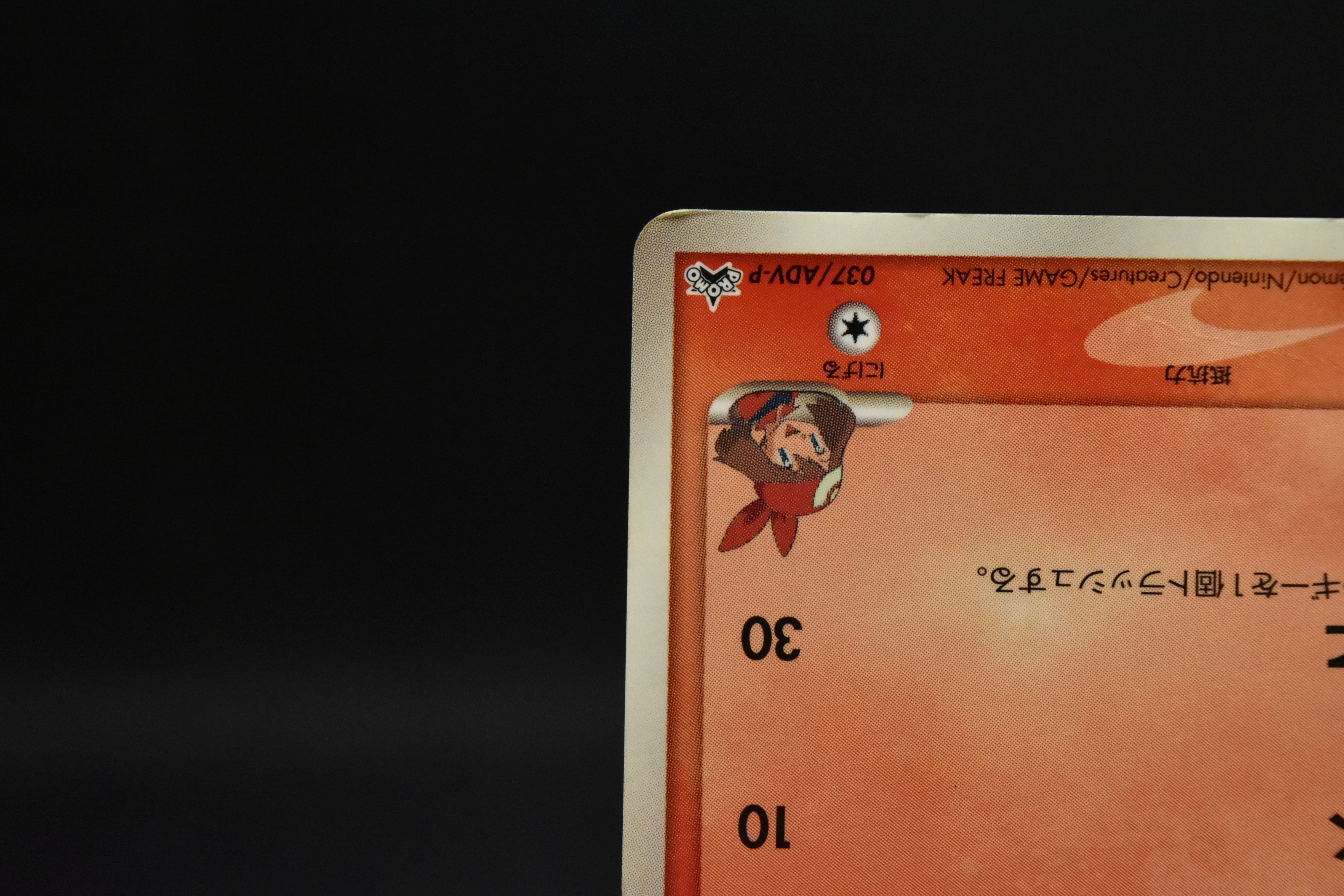 【HP】May's Torchic 037/ADV-P | Shogakukan Promo | Pokemon Card Japanese