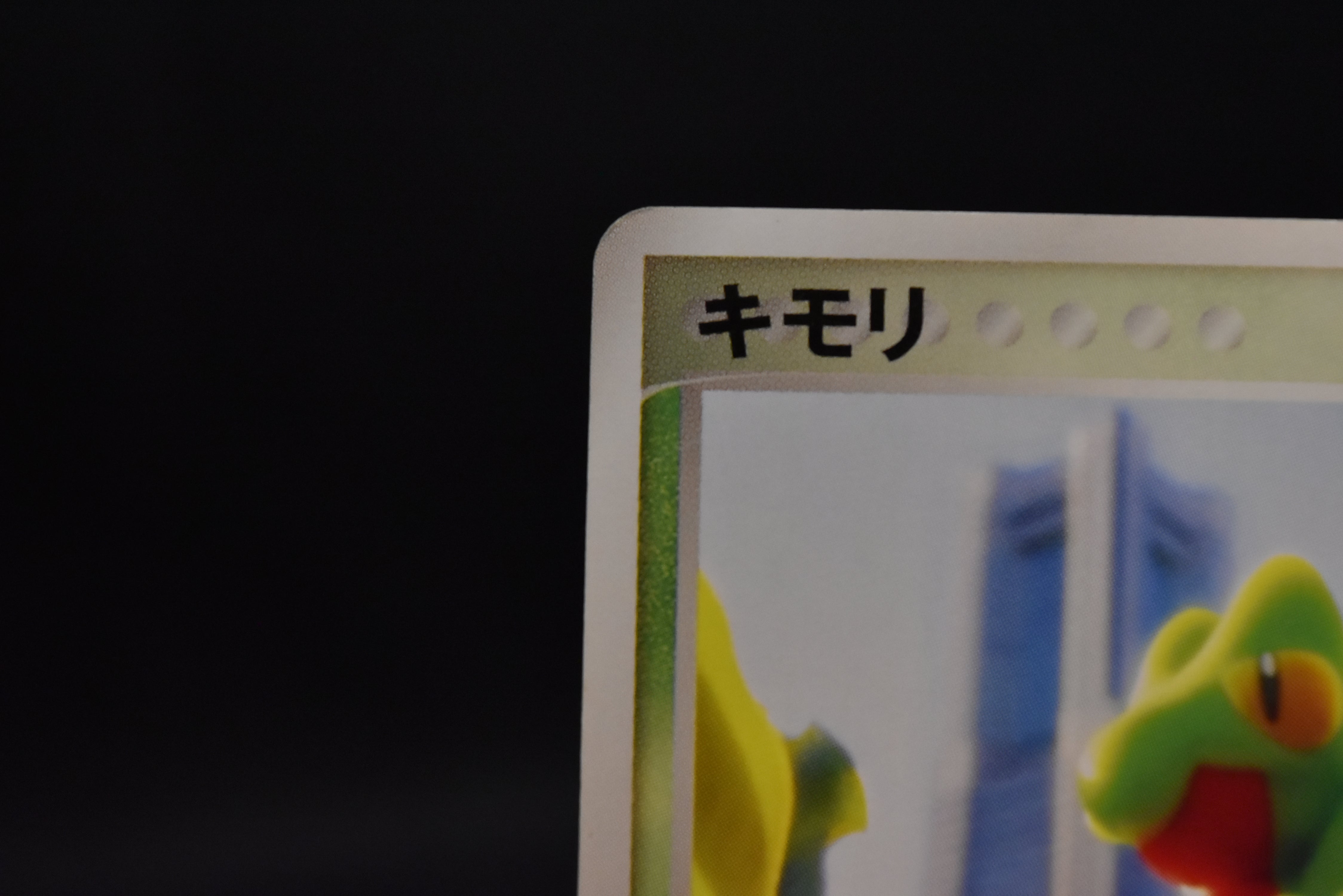 【LP】Treecko 037/PCG-P | Promo Yokohama Pokemon Center | Pokemon Card Japanese