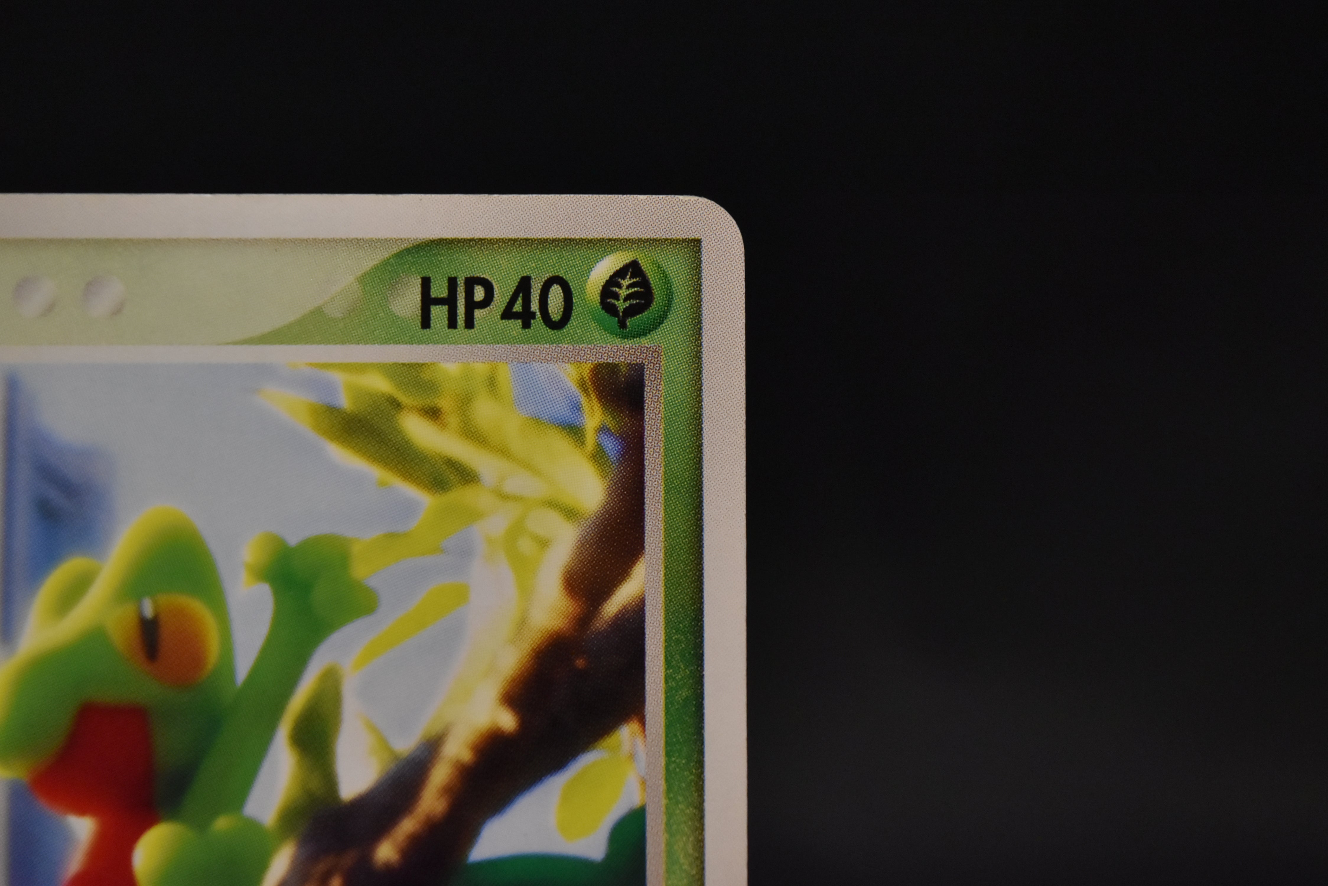 【LP】Treecko 037/PCG-P | Promo Yokohama Pokemon Center | Pokemon Card Japanese