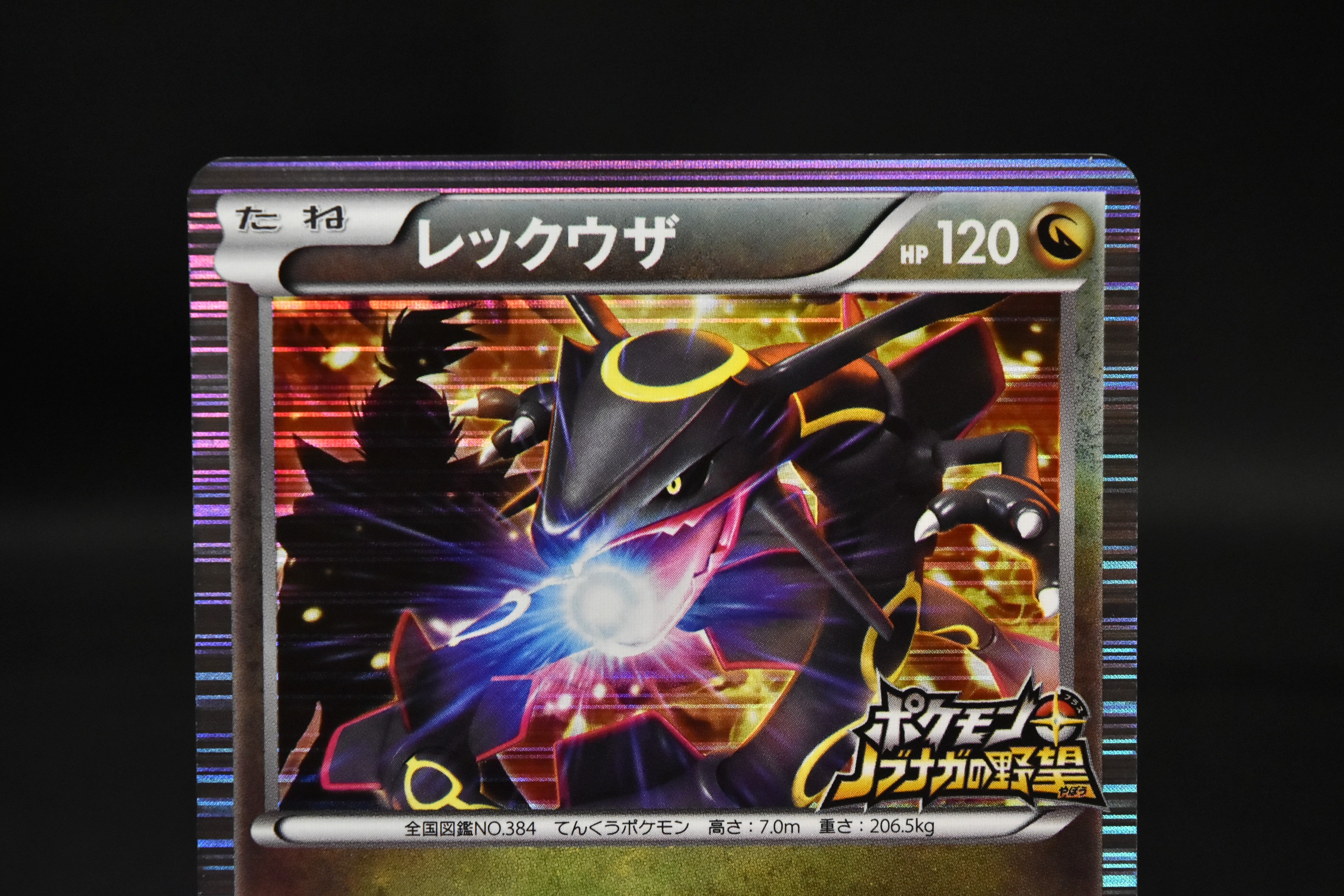 【LP】Rayquaza 144/BW-P | Nobunaga's Ambition Promo | Pokemon Card Japanese