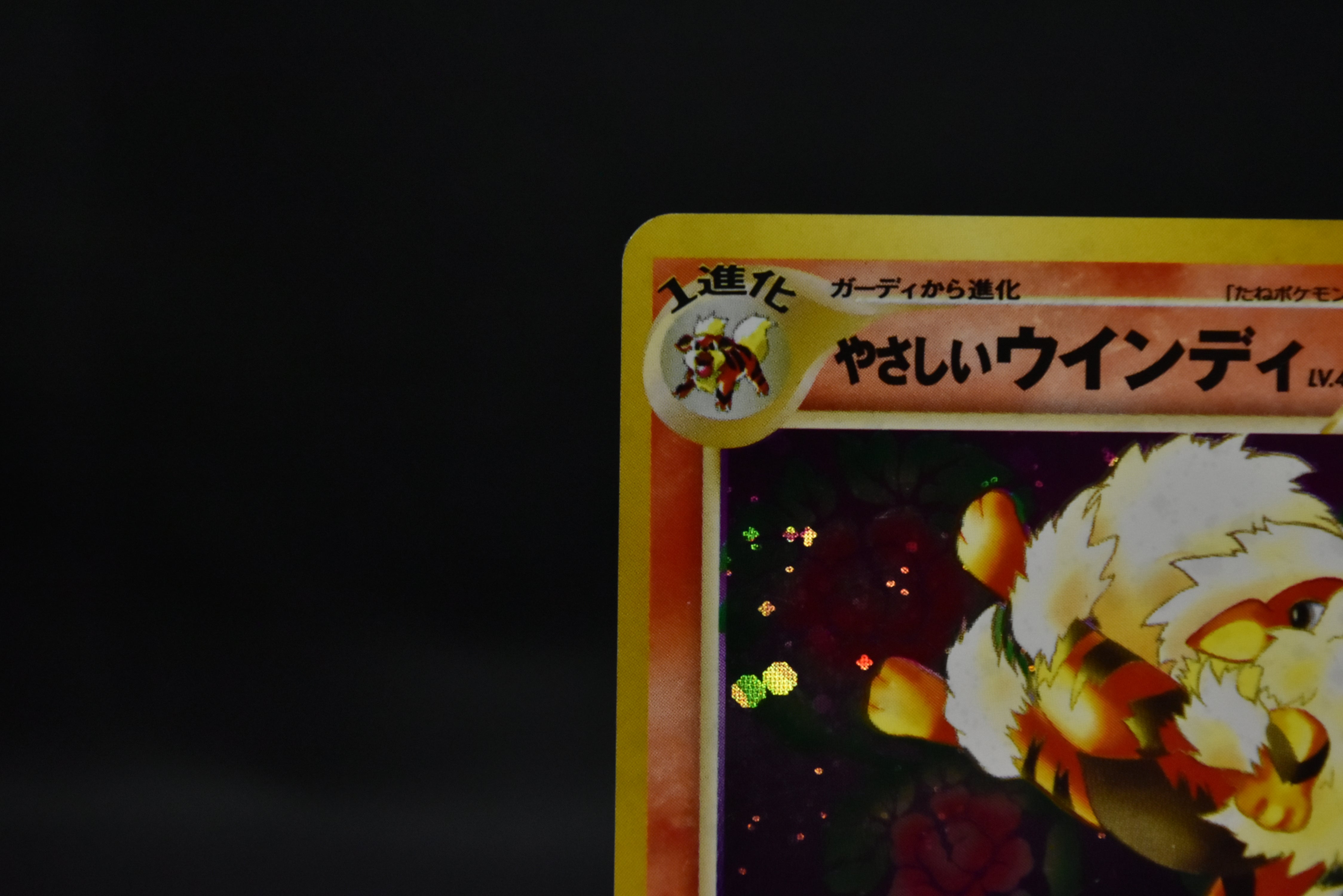 【LP】Light Arcanine No. 059 | Neo Destiny Holo | Japanese Pokemon Card