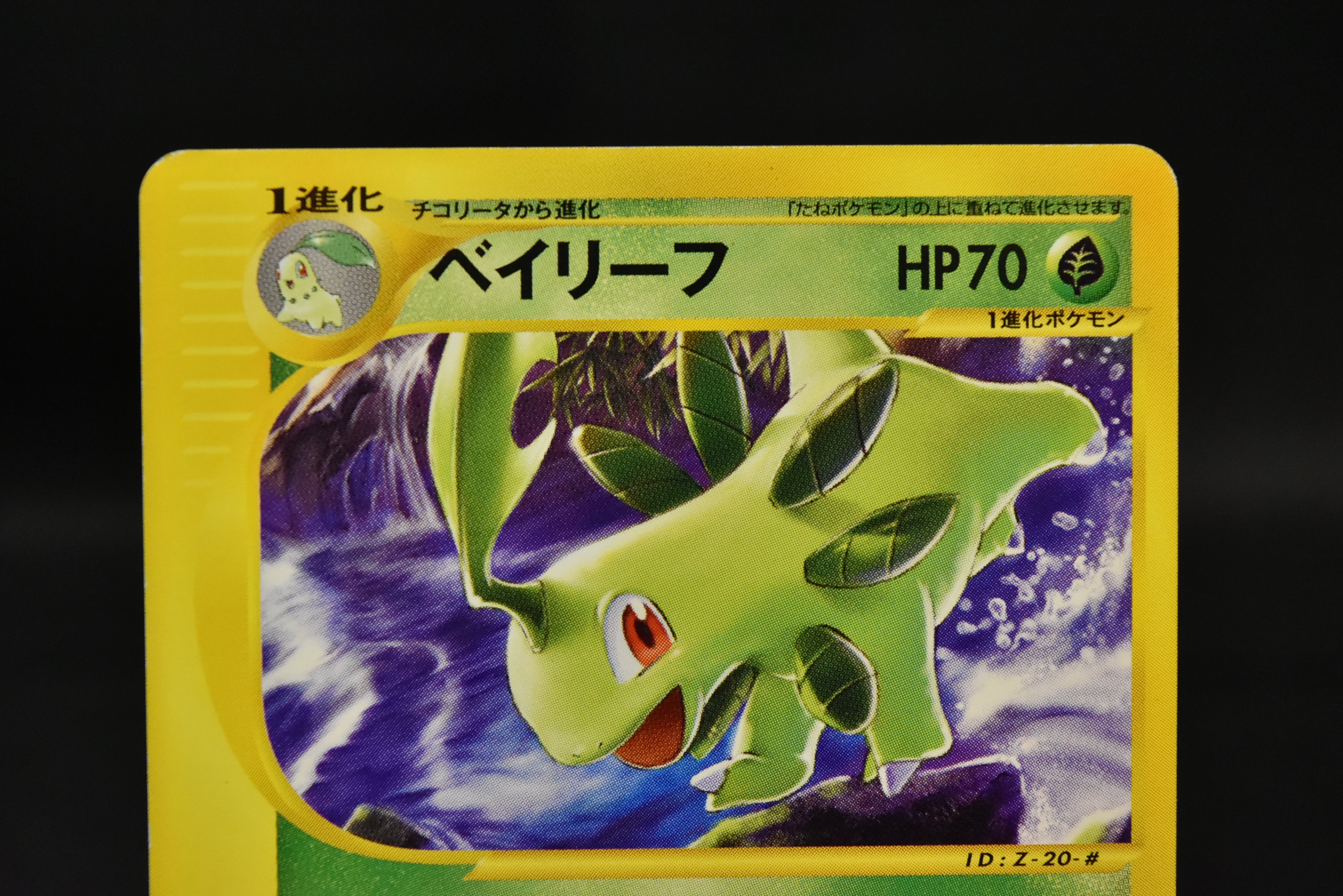 【LP】Bayleef 007/T, Quilava 008/T,  Croconaw 009/T | Trainers Magazine Promo | Pokemon card Japanese