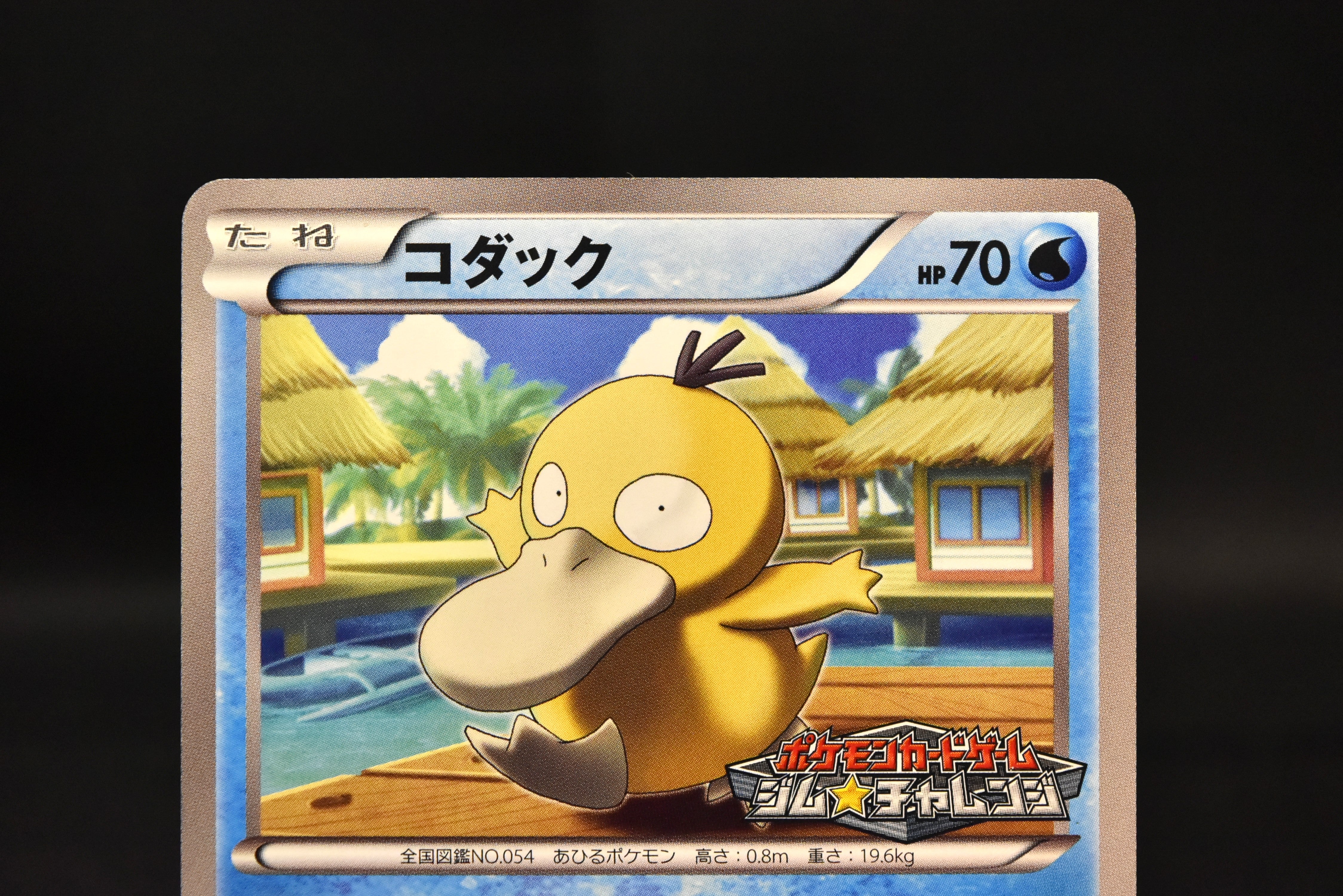 【LP】Psyduck 167/BW-P Gym Challenge Promo | Pokemon Card Japanese