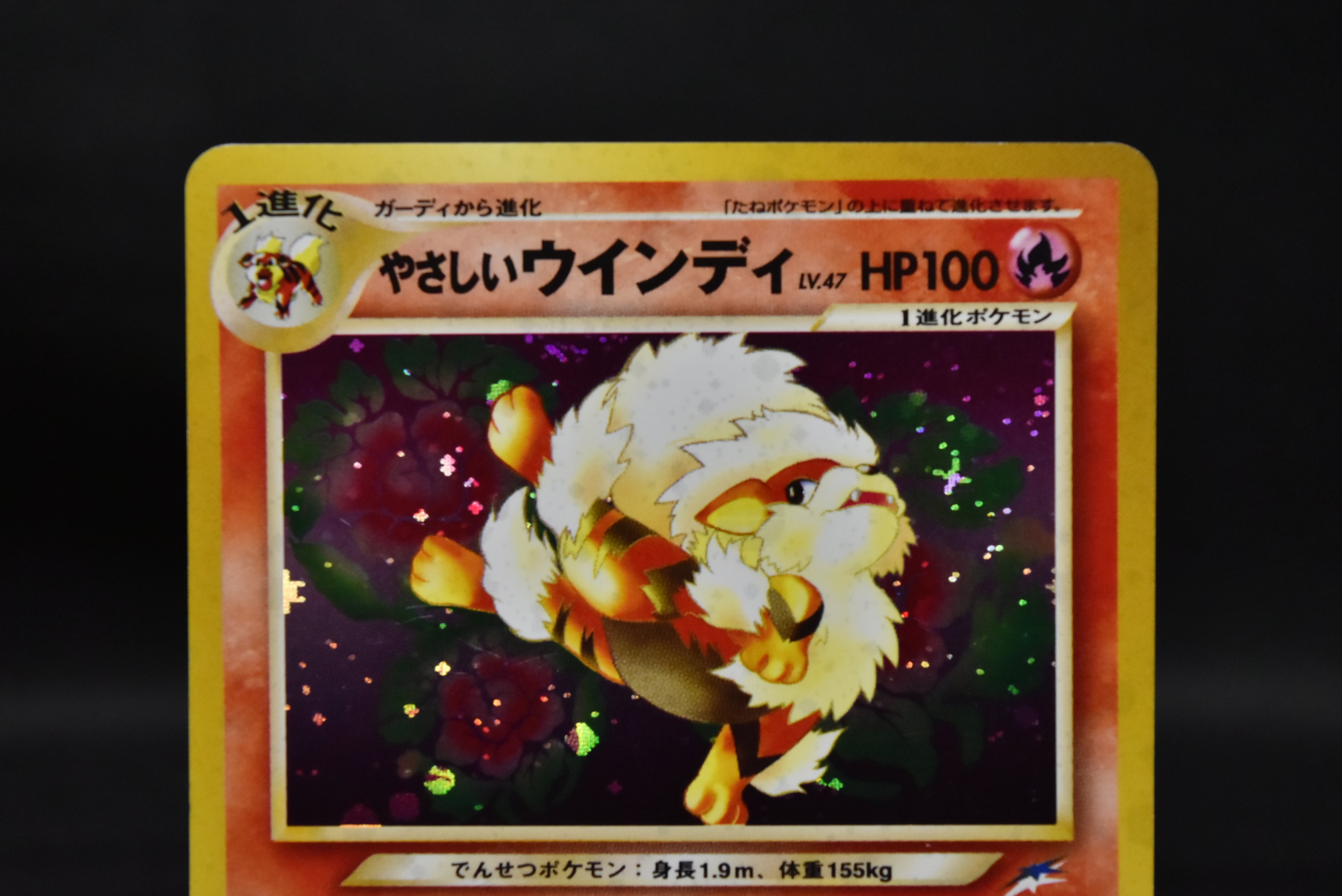 【LP】Light Arcanine No. 059 & Dragonite No. 149 | Neo Destiny Holo | Pokemon Card Japanese