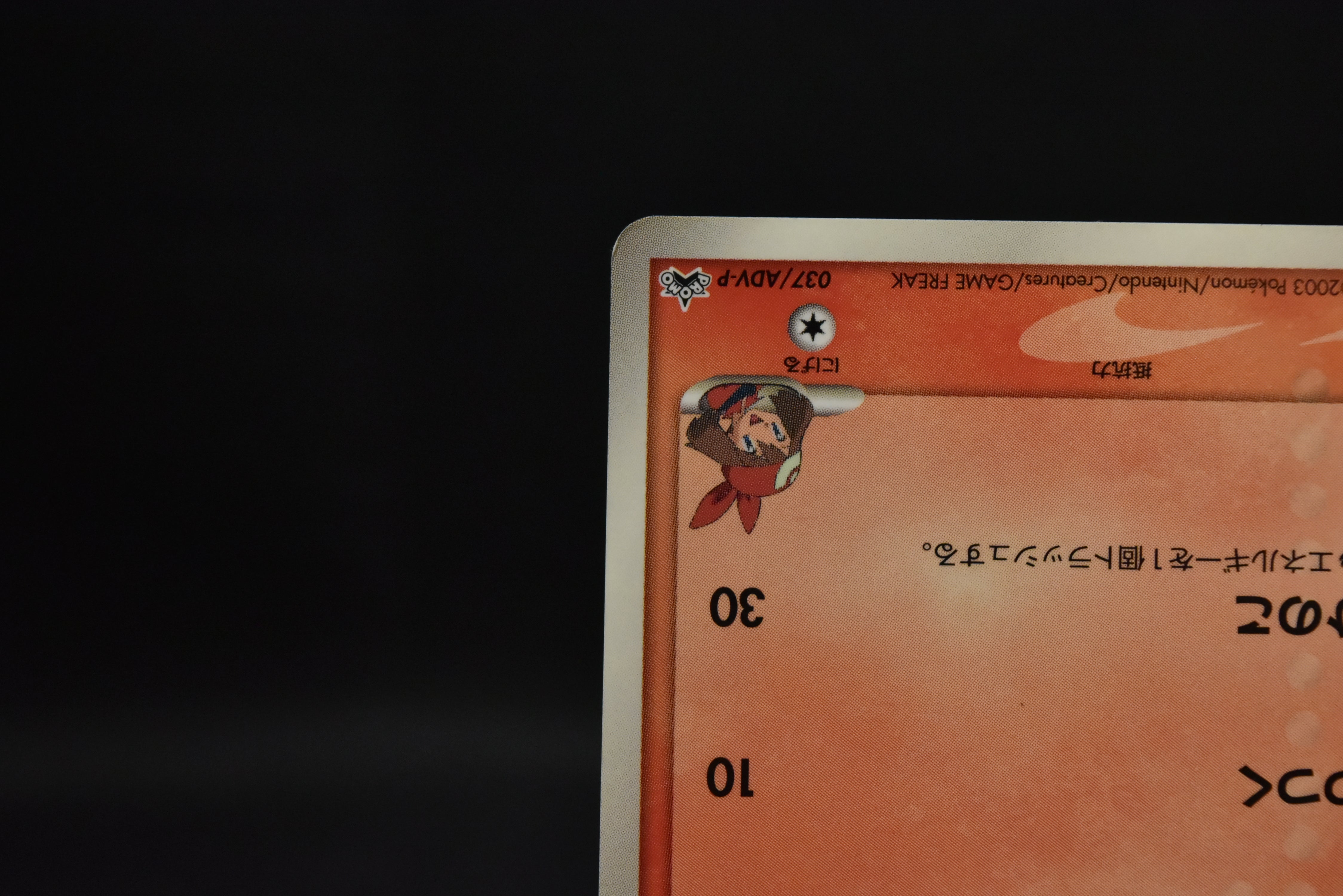 【MP】May's Torchic 037/ADV-P | Shogakukan Promo | Pokemon Card Japanese