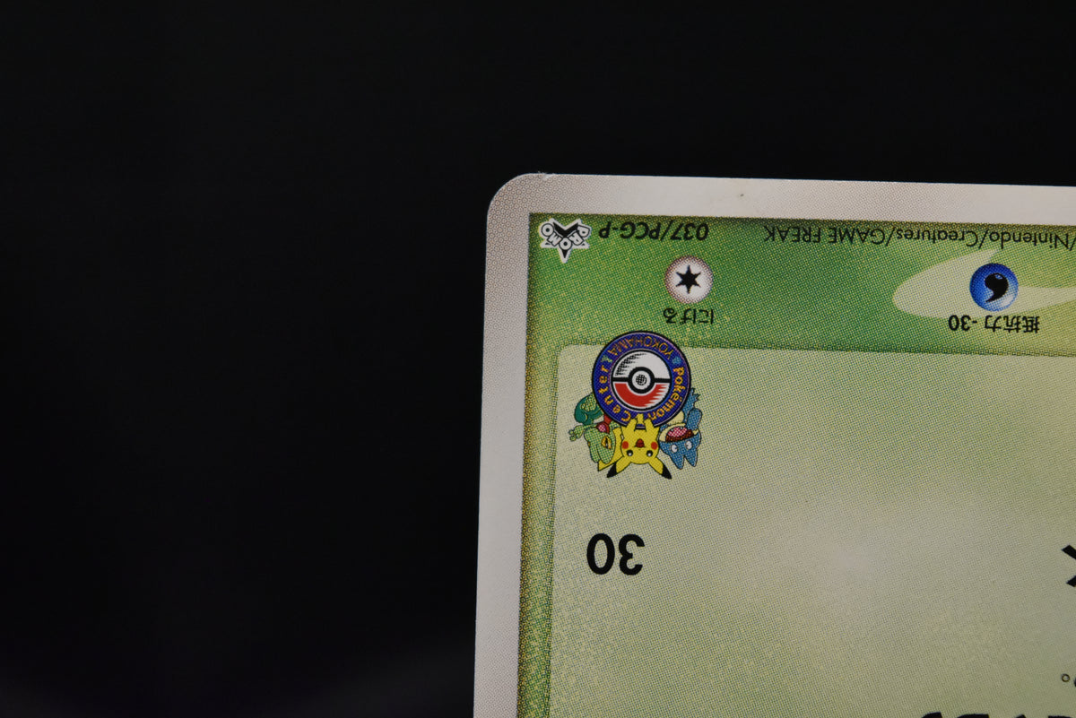 【LP】Treecko 037/PCG-P | Promo Yokohama Pokemon Center | Pokemon Card Japanese