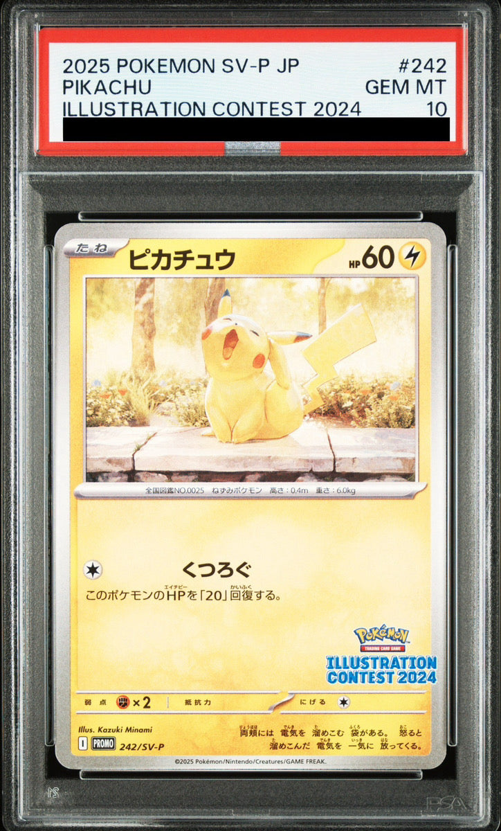 Pikachu 242/SV-P PSA 10 Illustration Contest 2024 Promo