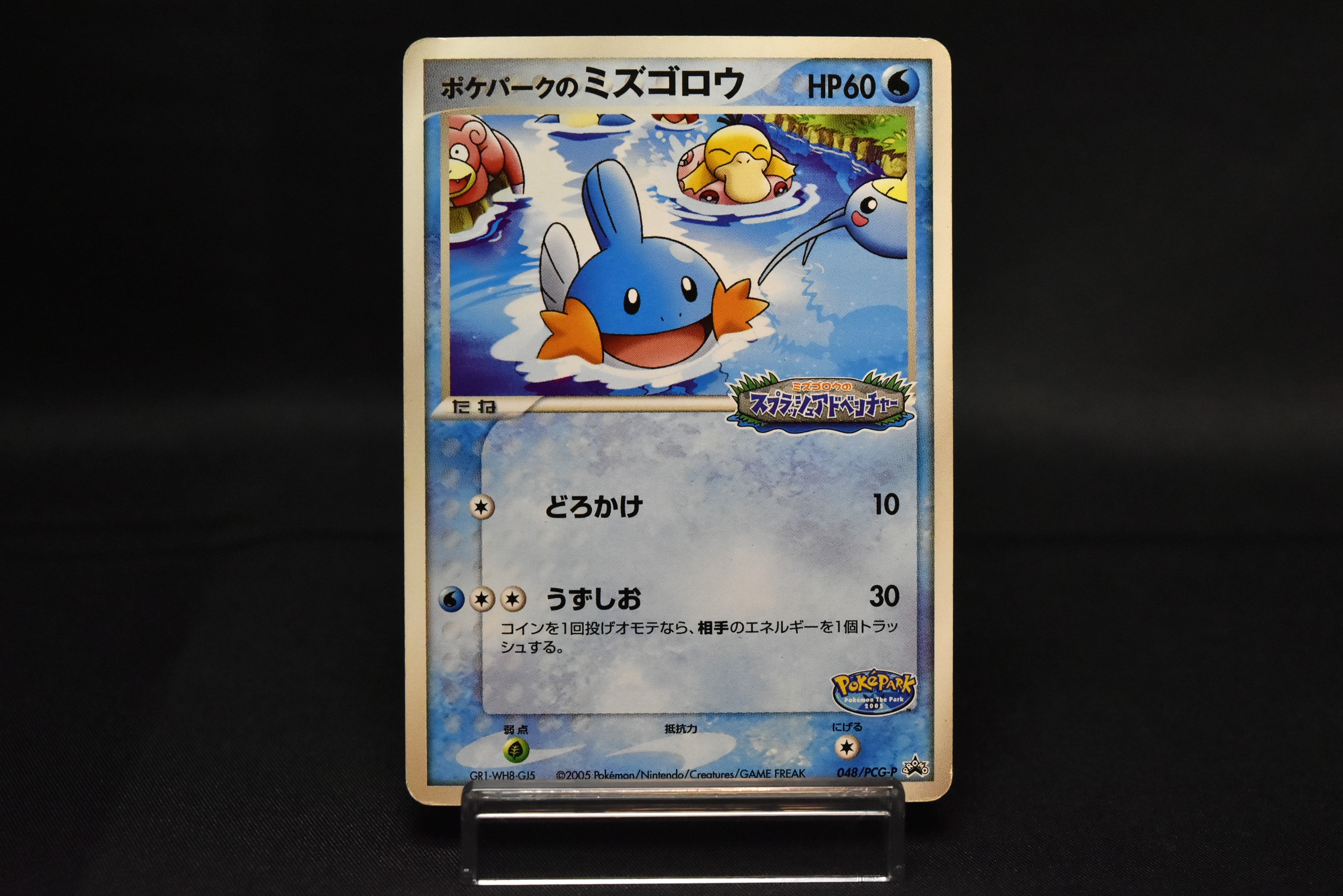 Pokepark's Mudkip 048/PCG-P Promo Japanese Pokemon Card